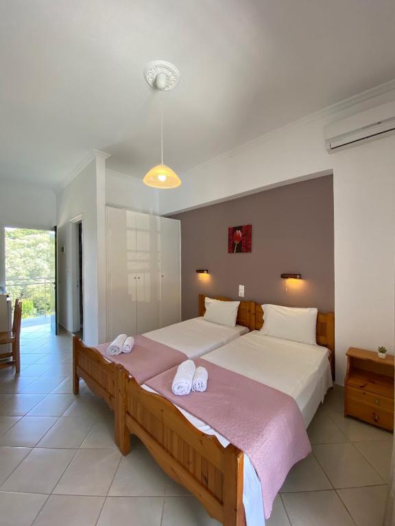 Anemona Studios