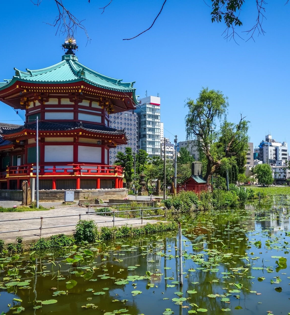 Shinobazu Pond