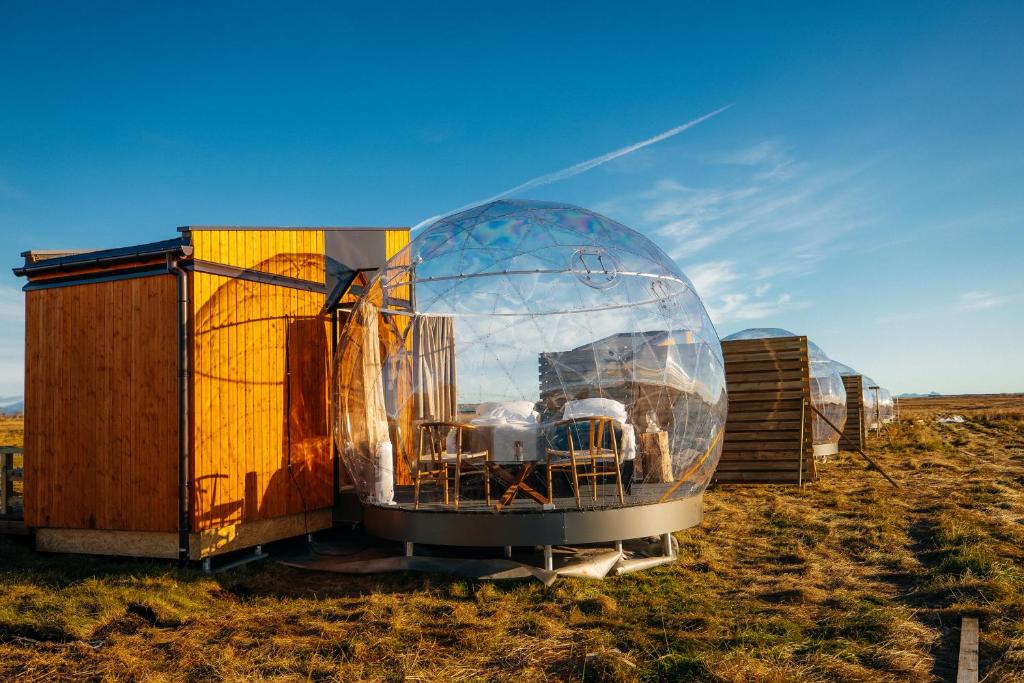 Aurora Igloo