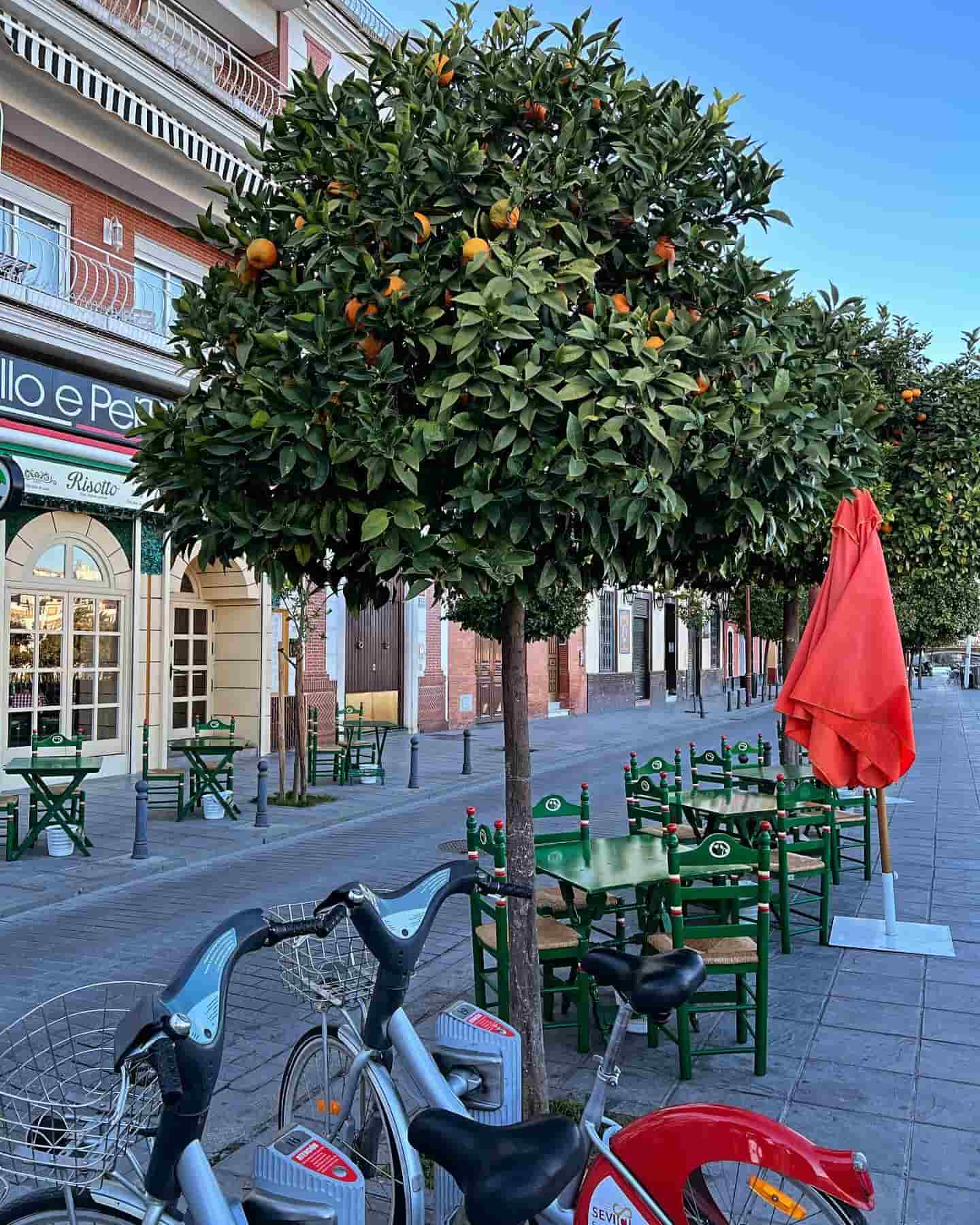 Calle Beti, Sevilla, Spanien