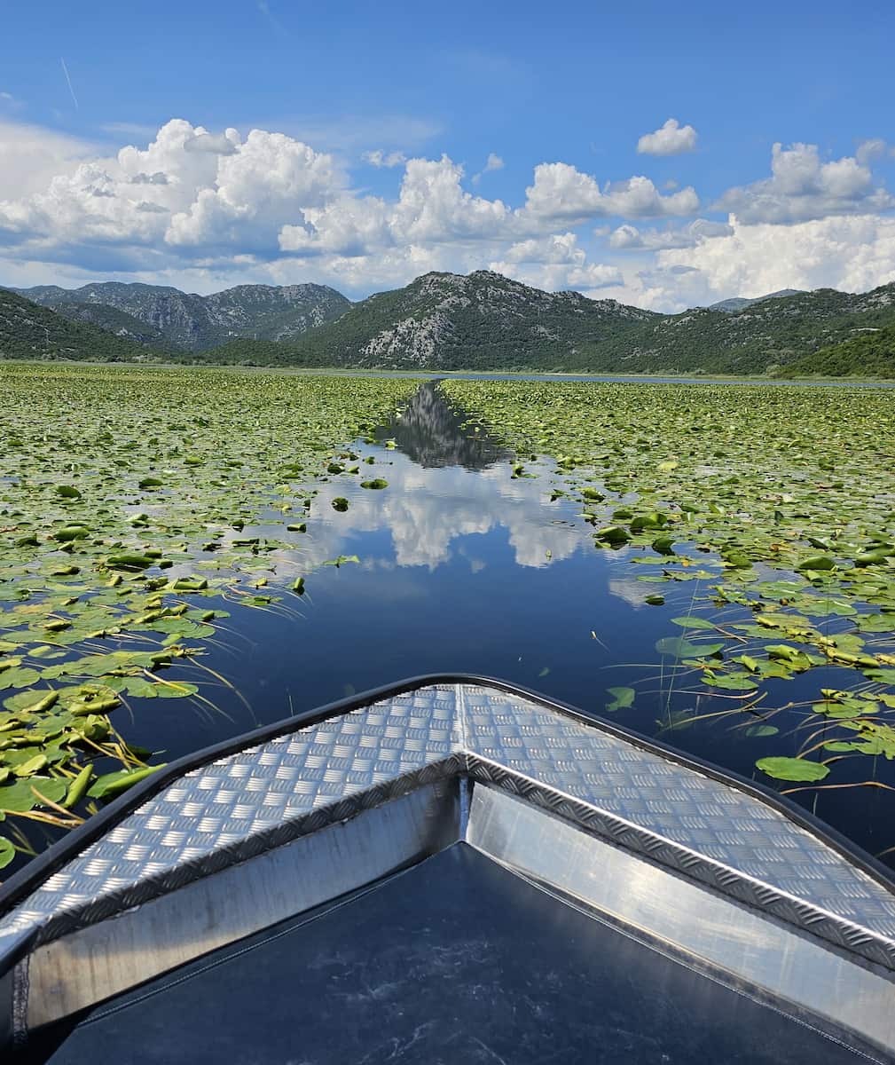Skadarsøen, Montenegro