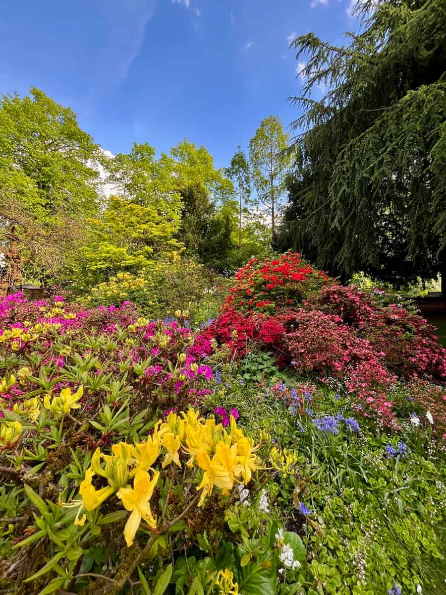 Fletcher Moss Park & Botaniska trädgårdar