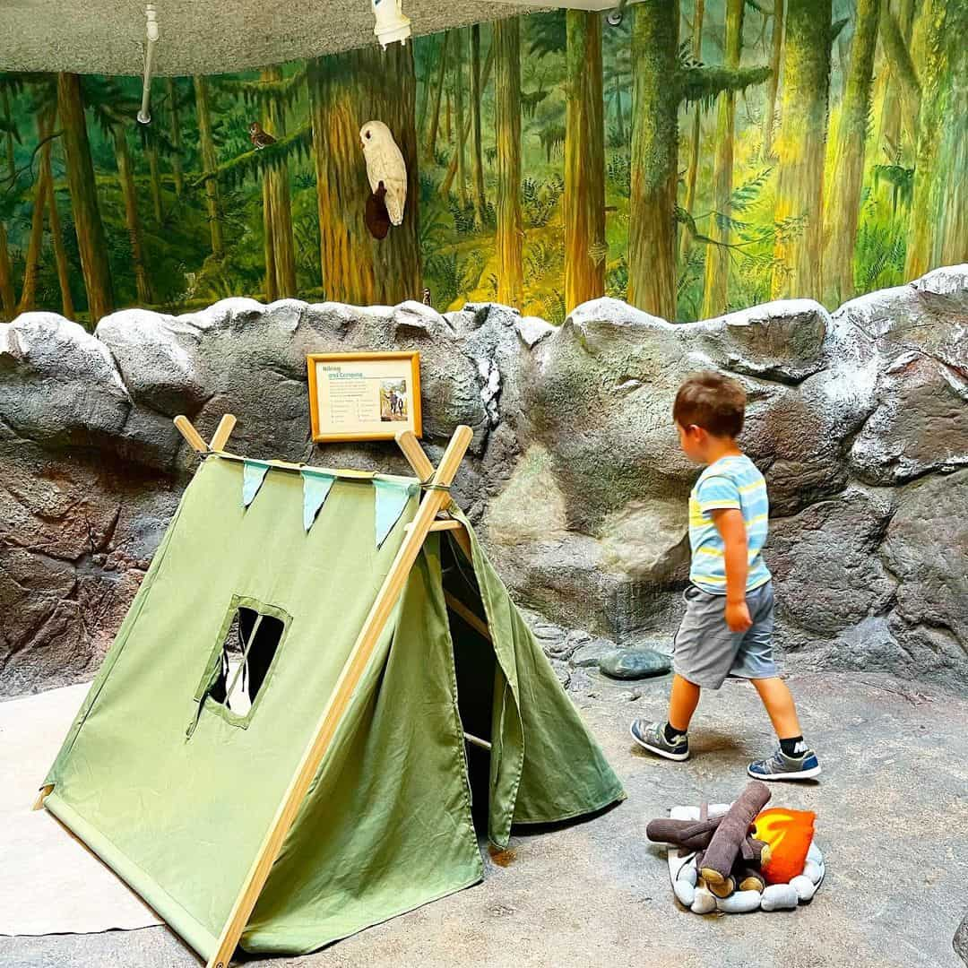 the Seattle Children’s Museum