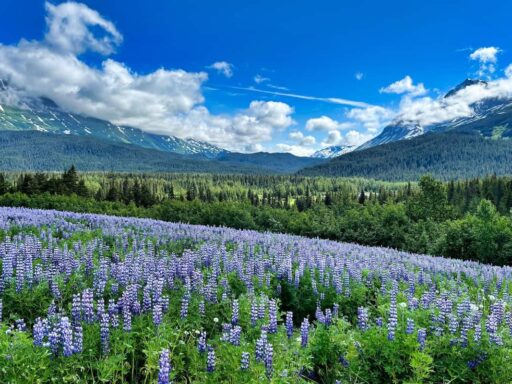 Anchorage, Alaska