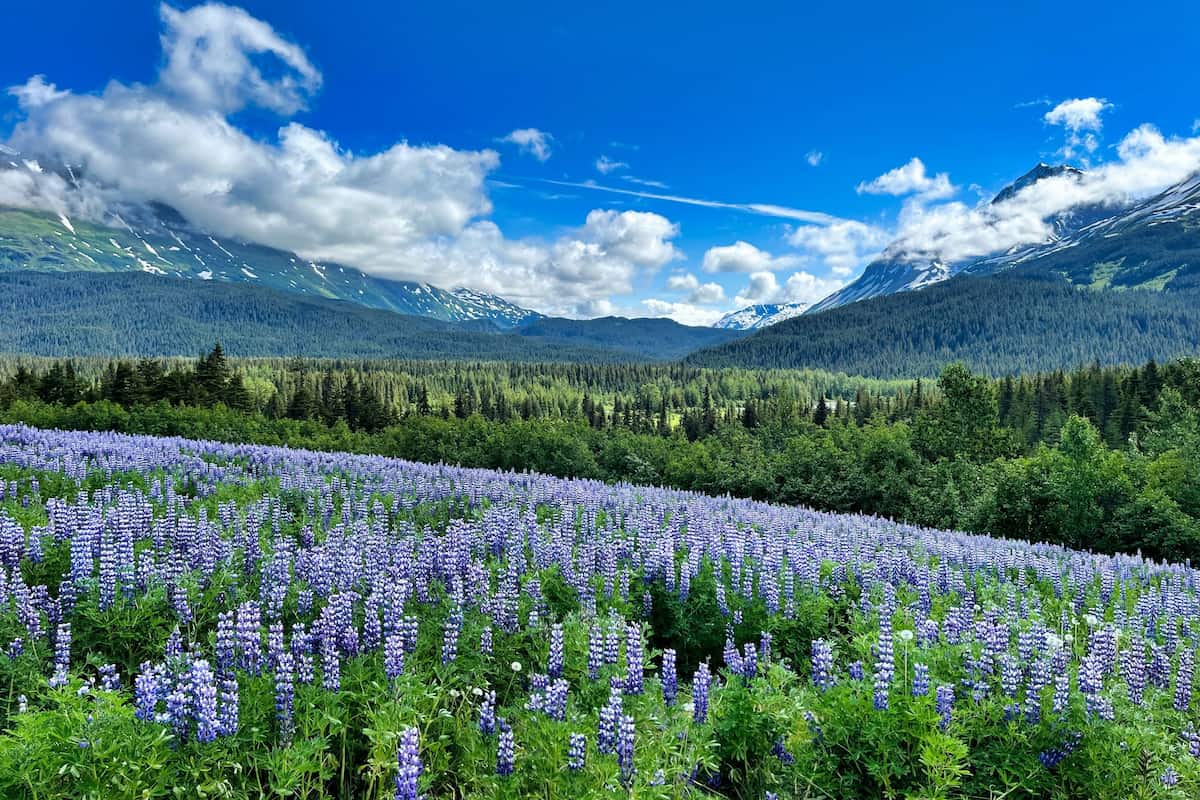 Anchorage, Alaska