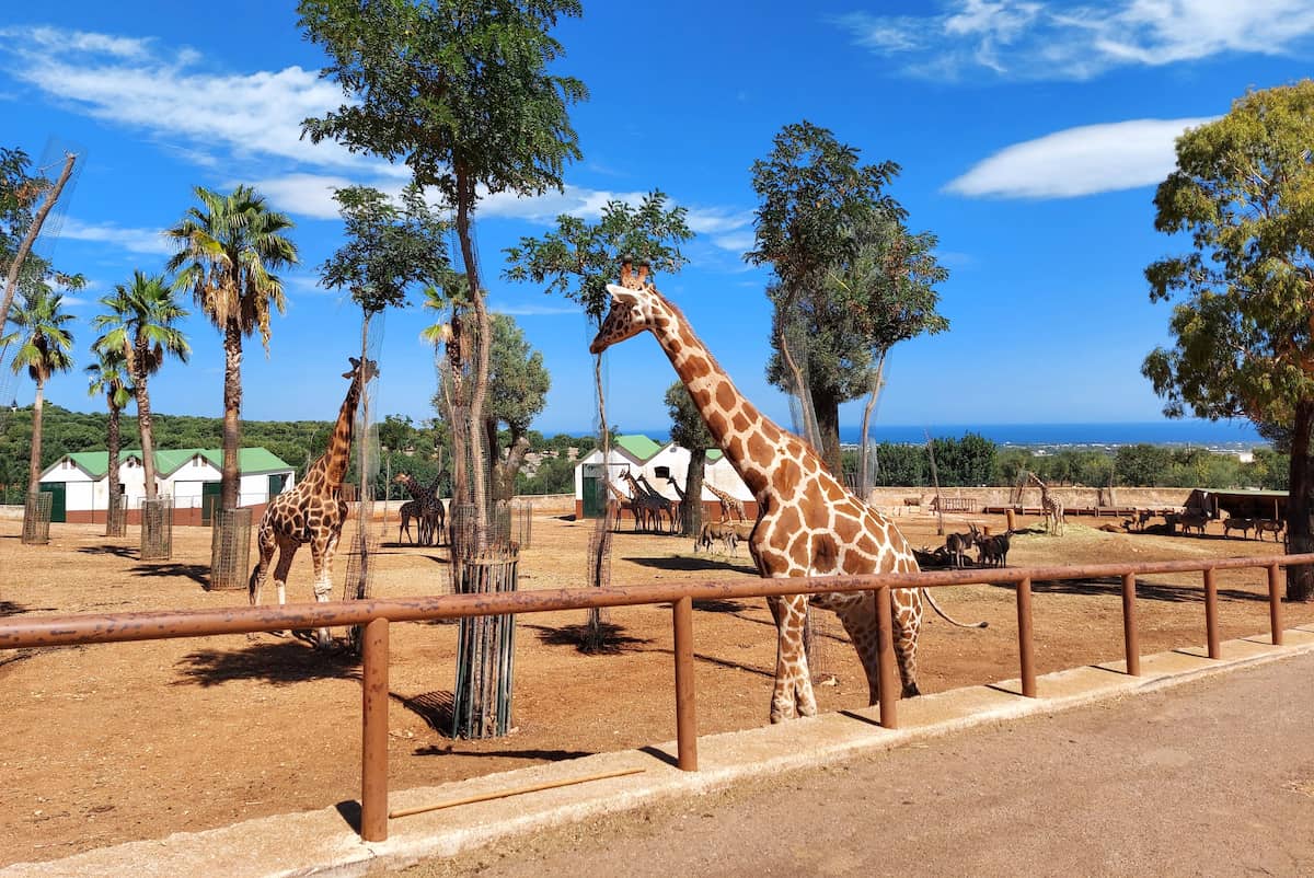 The Zoosafari Fasanolandia, Alberobello