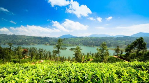 Nuwara Eliya, Sri Lanka