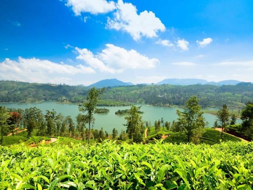 Nuwara Eliya, Sri Lanka