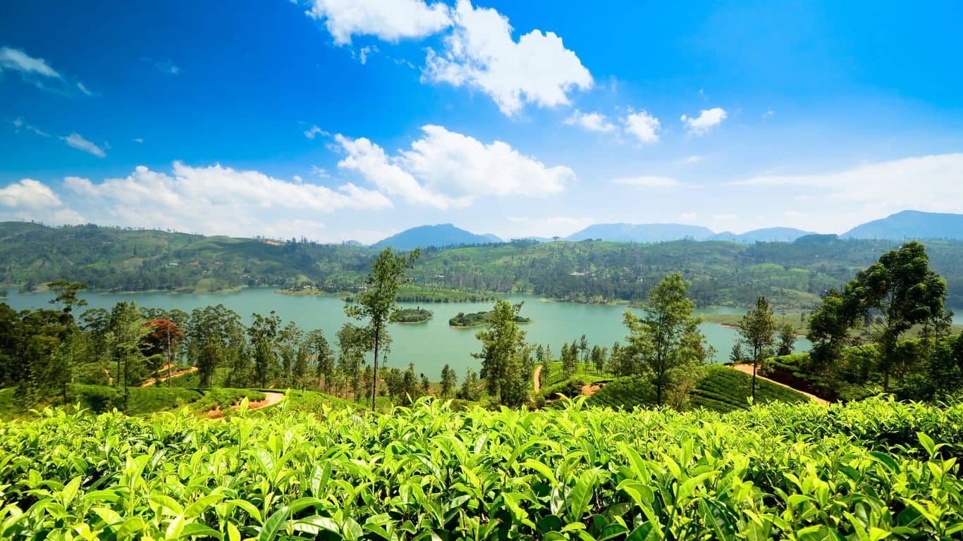 Nuwara Eliya, Sri Lanka