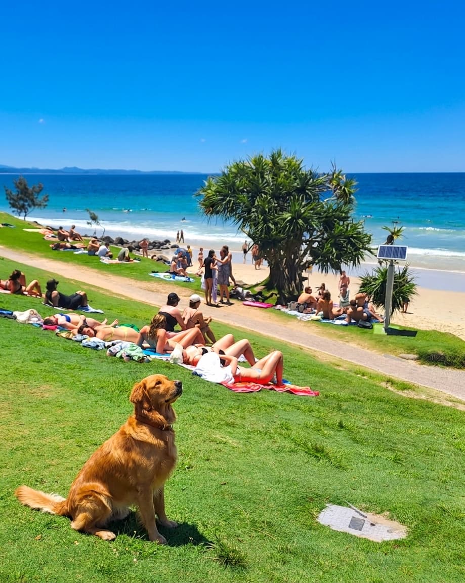 Belongil Beach, Byron Bay Belongil Beach, Byron Bay