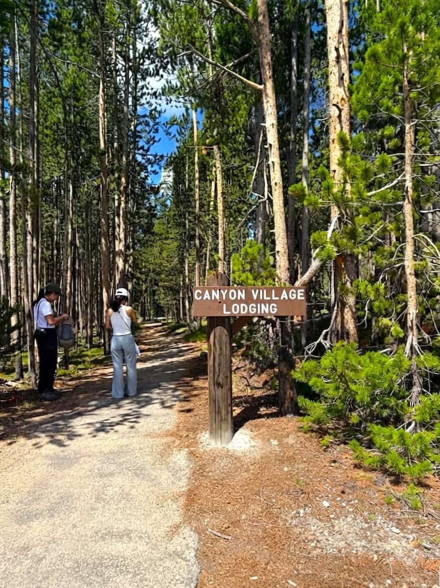 Canyon Village, Yellowstone Canyon Village, Yellowstone