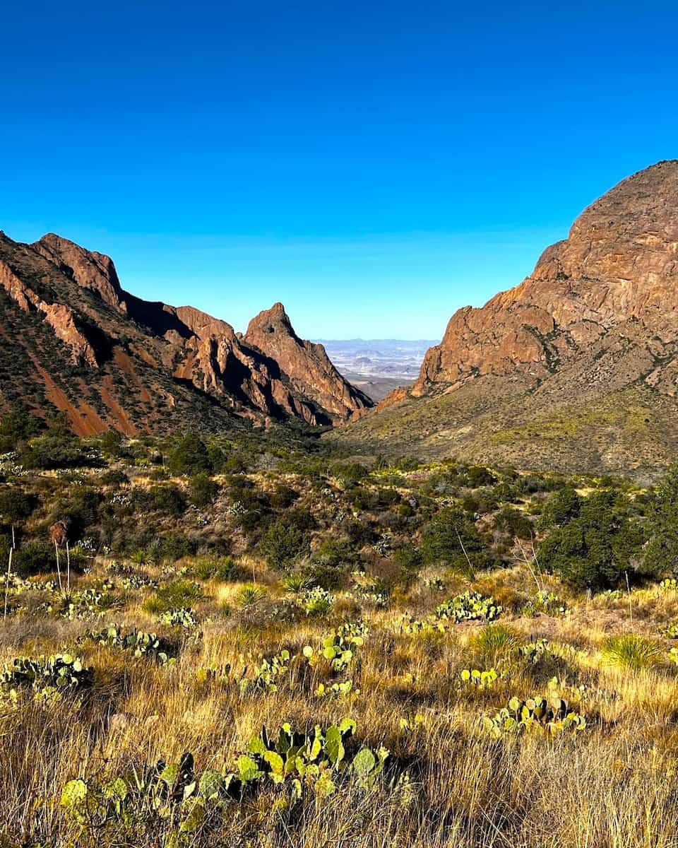 Chisos Basin, Big Bend National Park (5) (1)