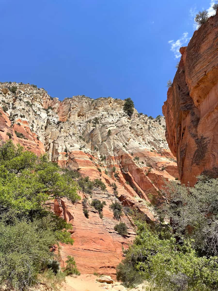 East Zion (Mount Carmel), Zion National Park East Zion (Mount Carmel), Zion National Park