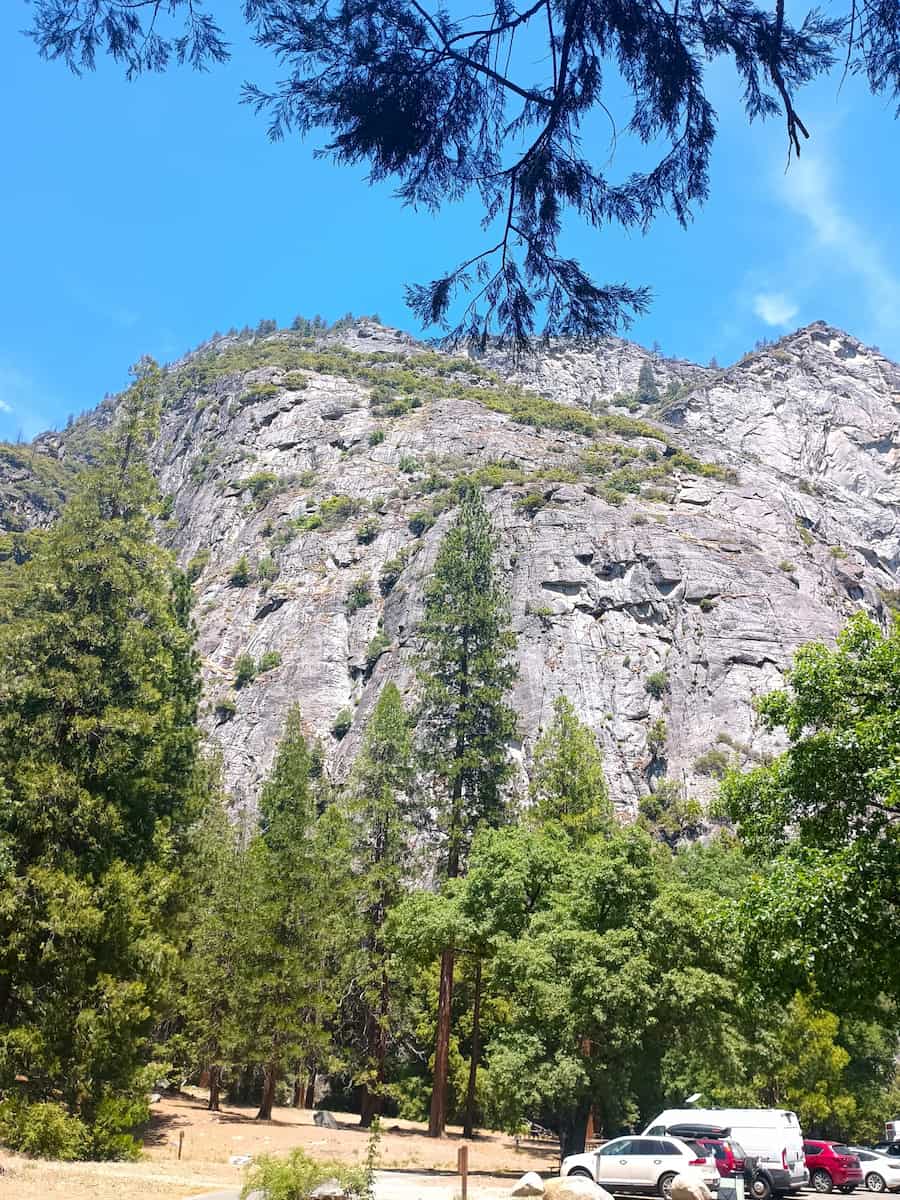 Grant Grove, Sequoia National Park Grant Grove, Sequoia National Park