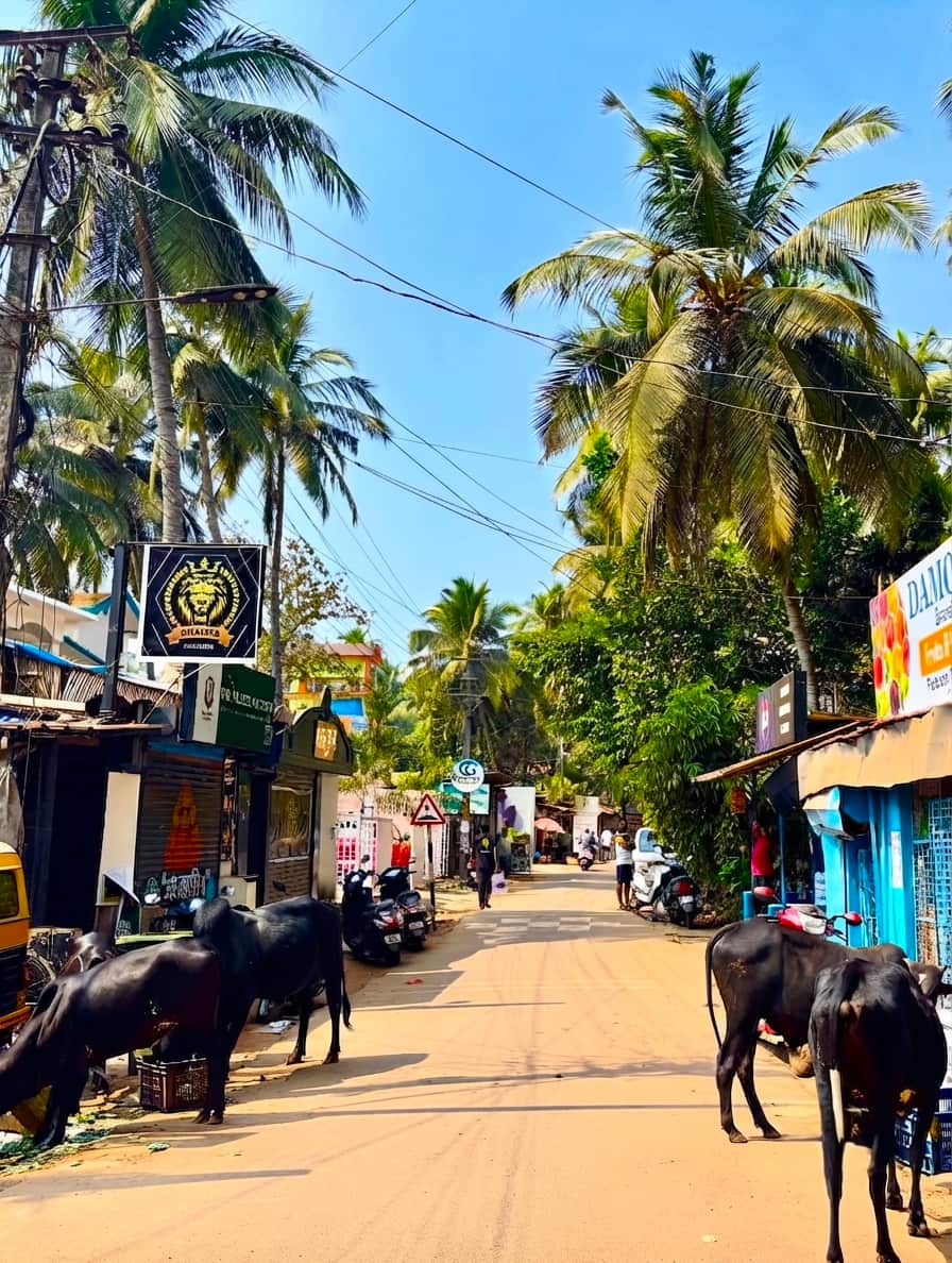 Palolem, Goa Palolem, Goa