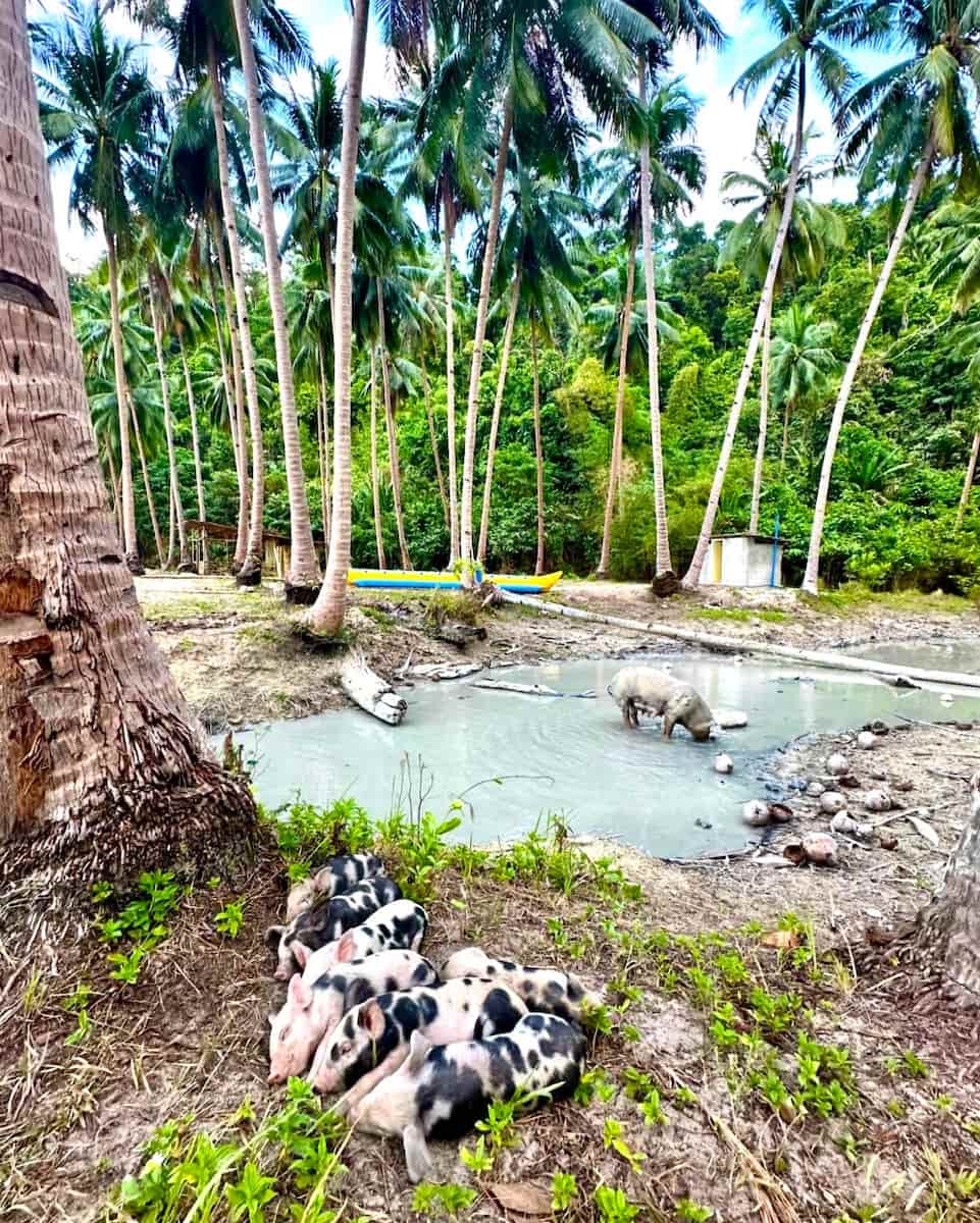 Pamuayan Beach, Port Barton Pamuayan Beach, Port Barton