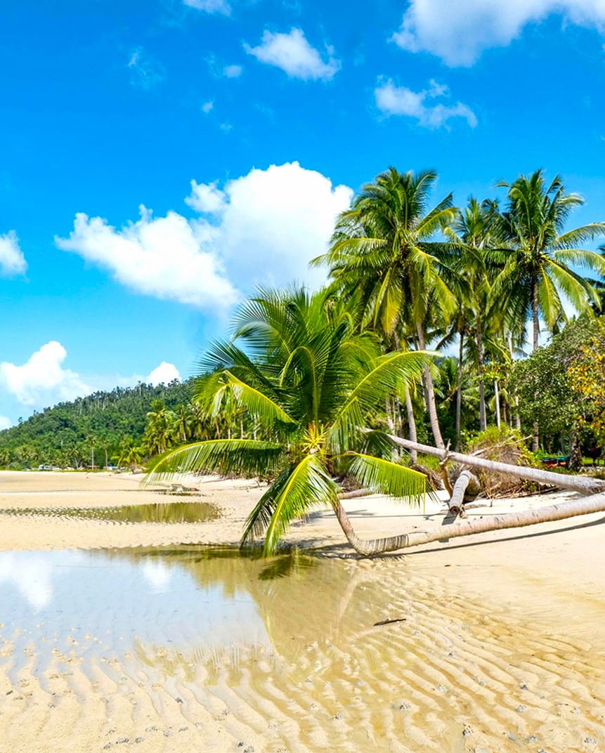 Pamuayan Beach, Port Barton Pamuayan Beach, Port Barton