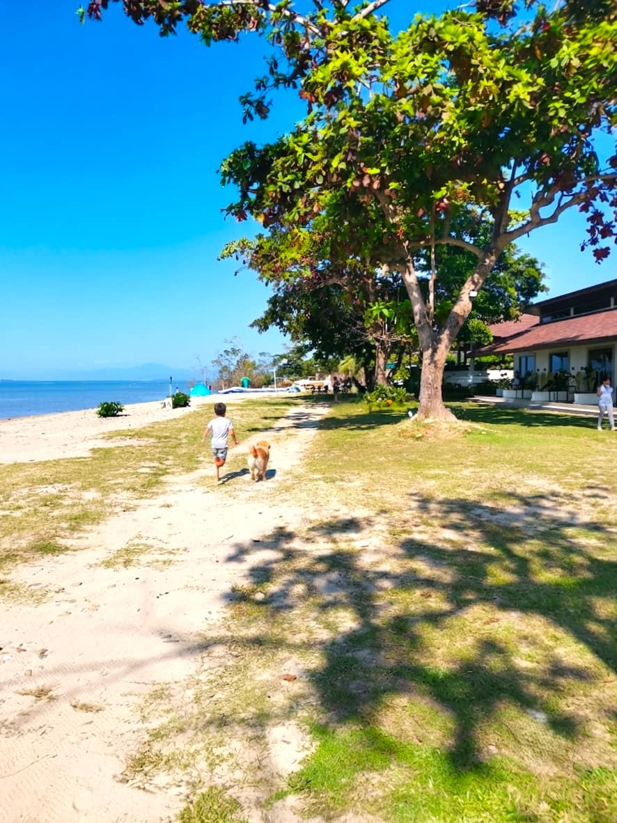 San Rafael & North Road, Puerto Princesa (5) (1)