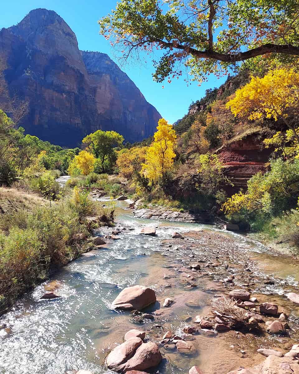 Springdale, Zion National Park Springdale, Zion National Park