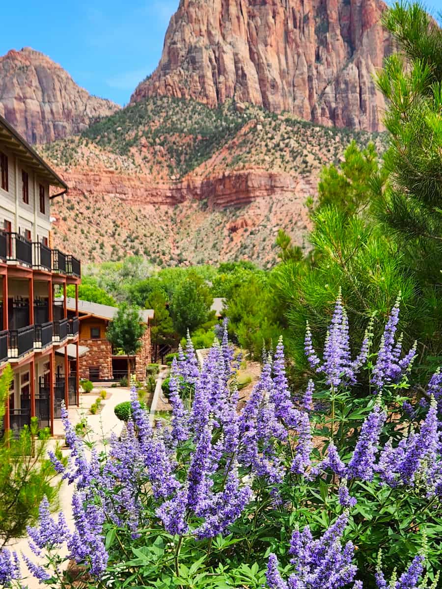 Springdale, Zion National Park Springdale, Zion National Park
