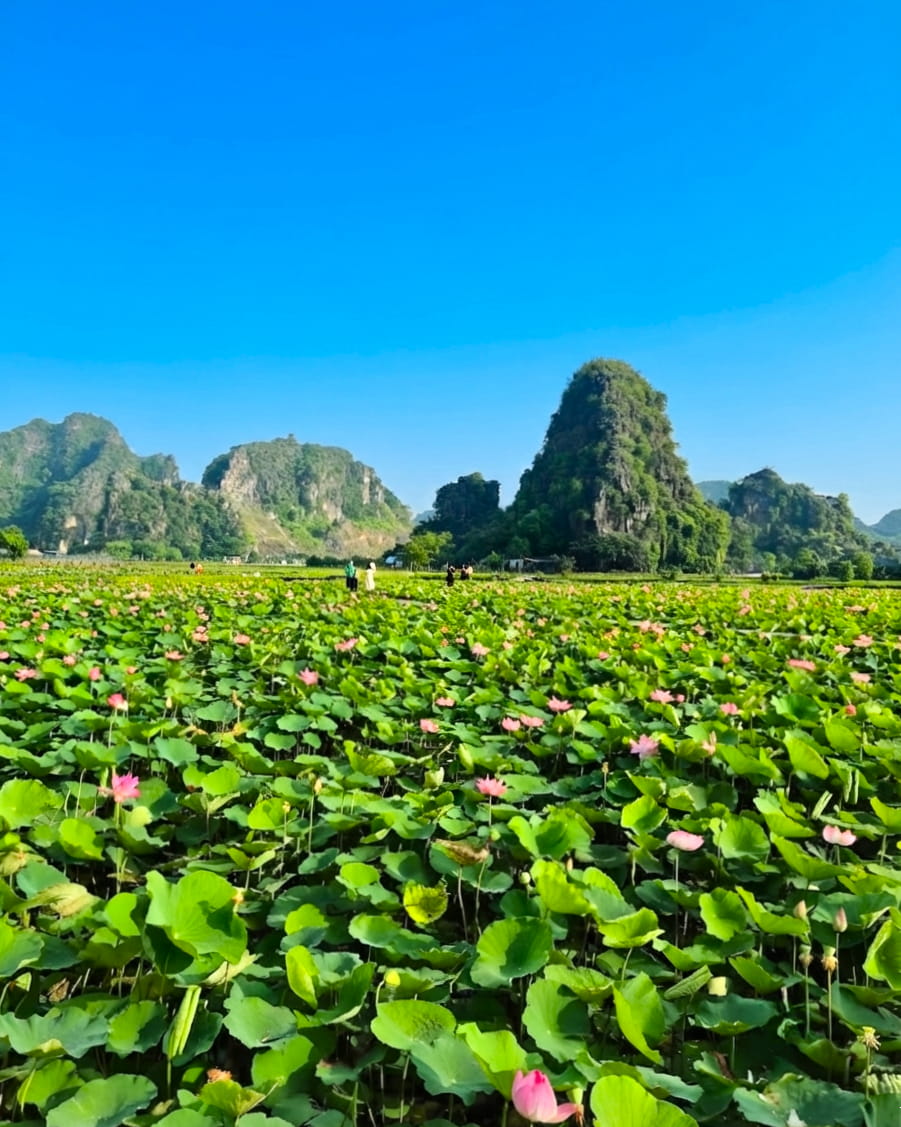 Tam Coc, Ninh Binh Tam Coc, Ninh Binh