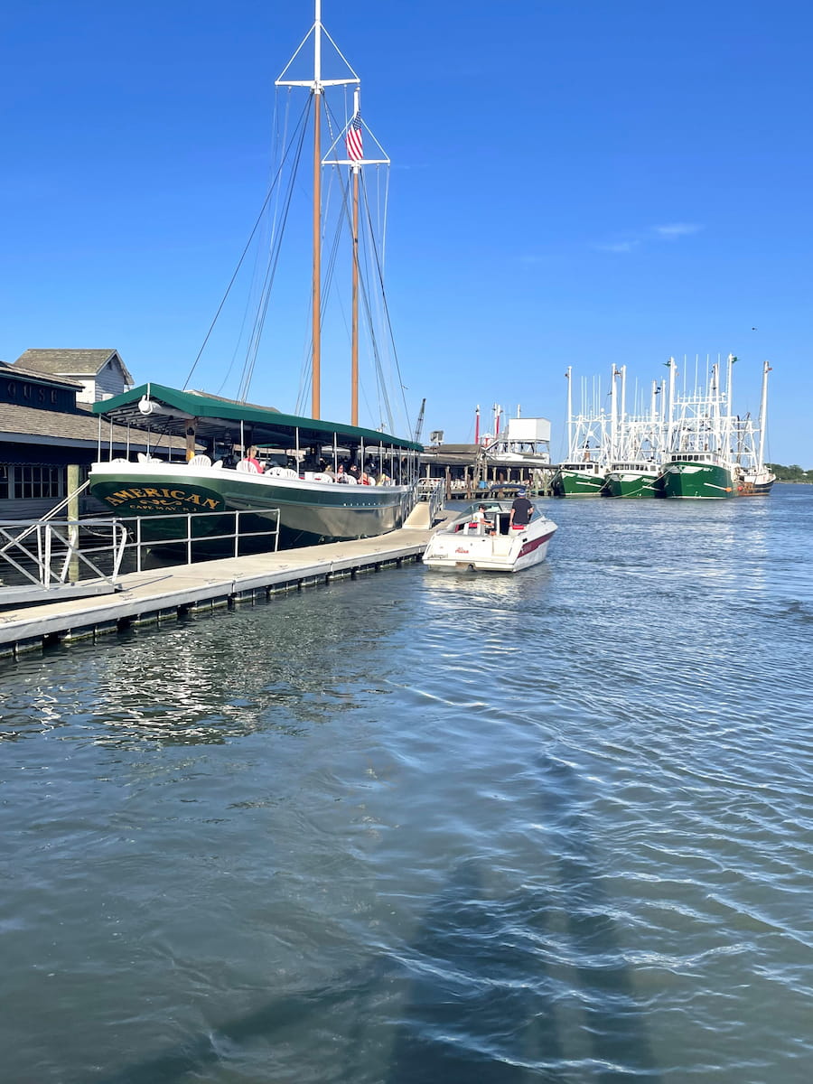 The Marina District, Cape May The Marina District, Cape May