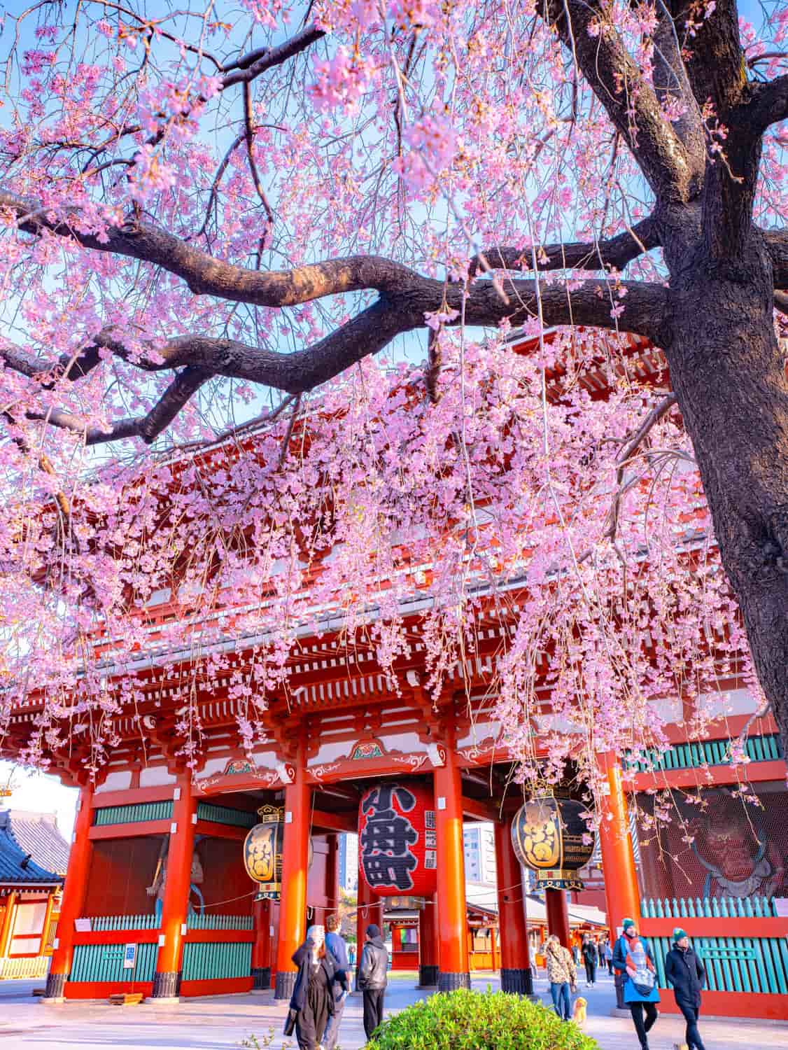 Asakusa, Japan Asakusa, Japan