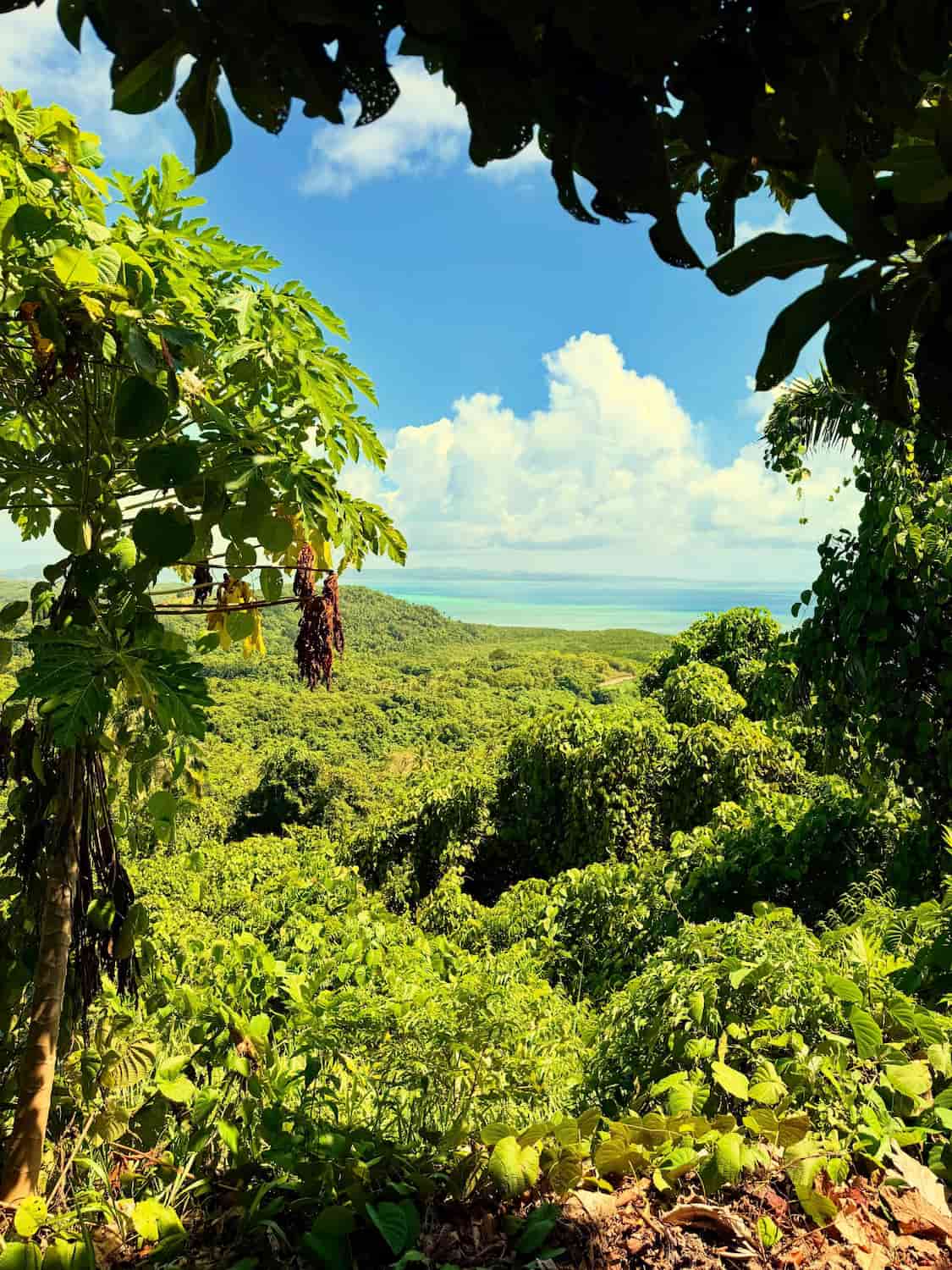 Babeldaob, Palau (3)