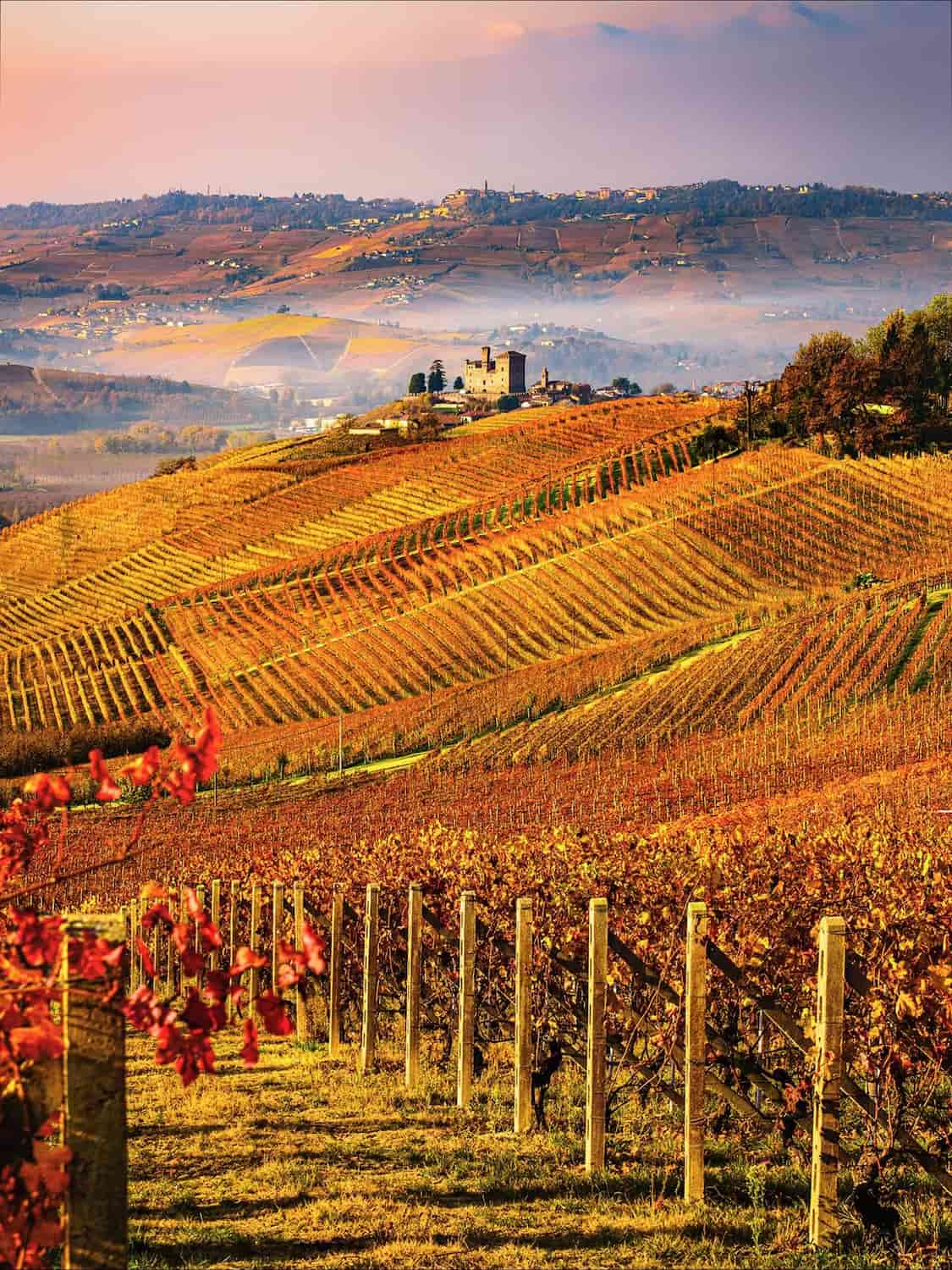 Barbaresco, Alba Barbaresco, Alba