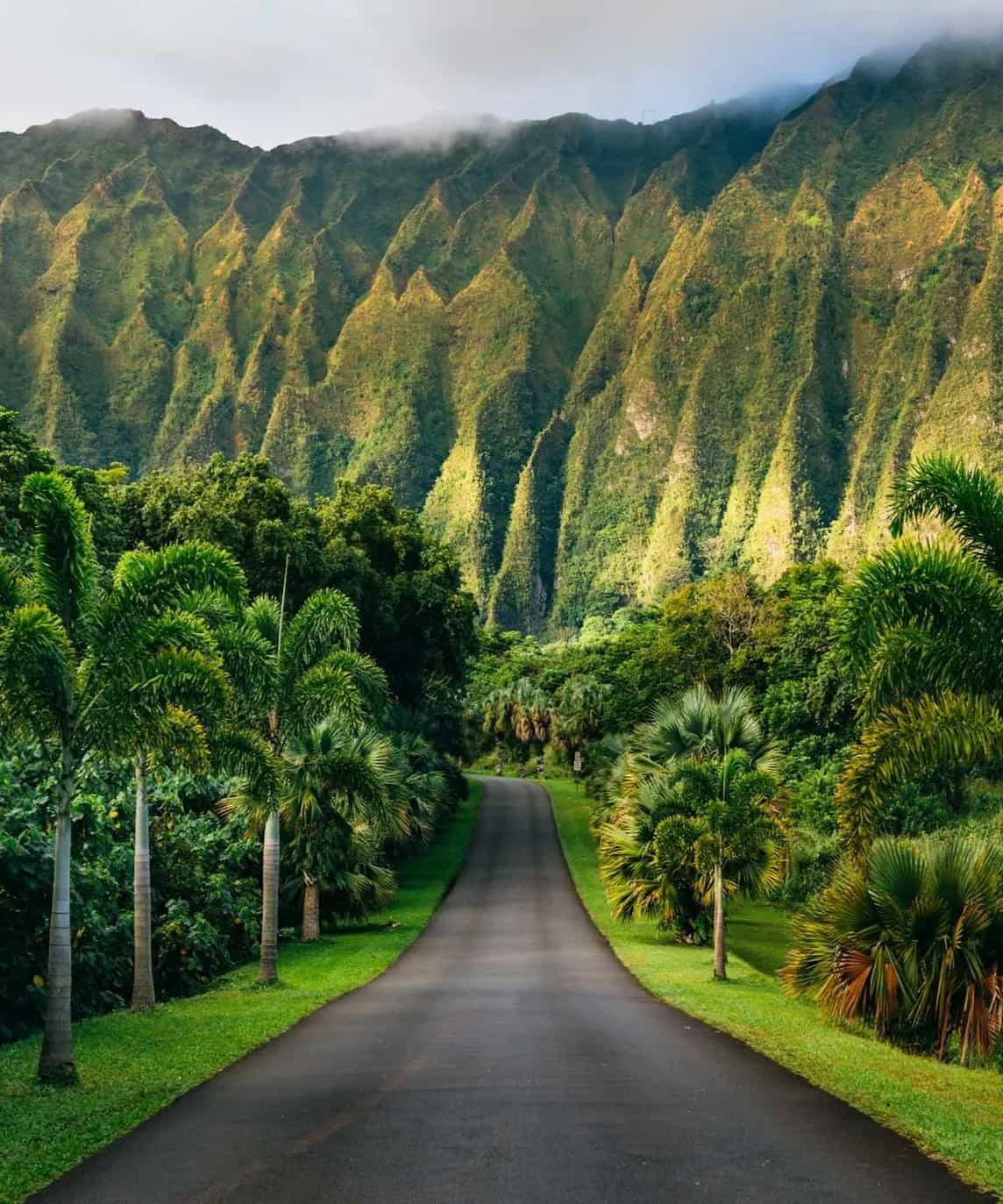 Big Island, USA Big Island, USA