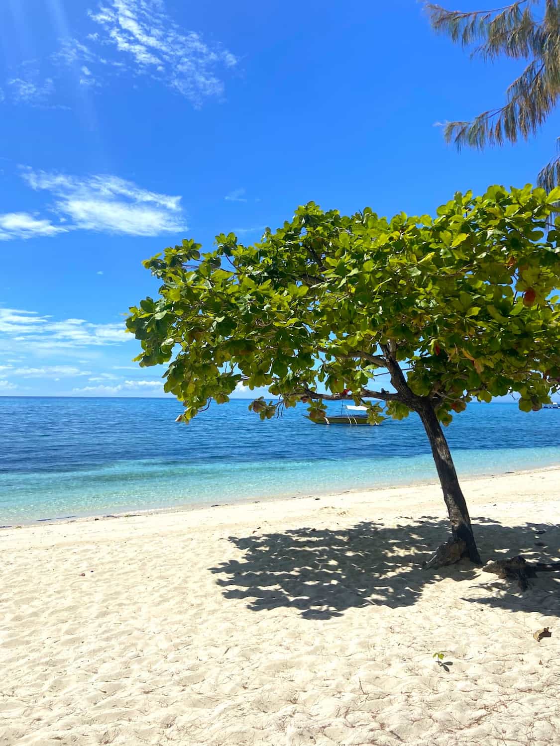 Bounty Beach, Malapascua Bounty Beach, Malapascua