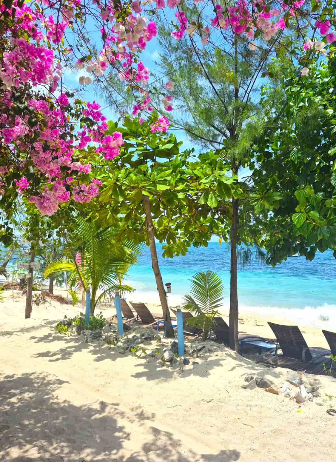 Bounty Beach, Malapascua Bounty Beach, Malapascua