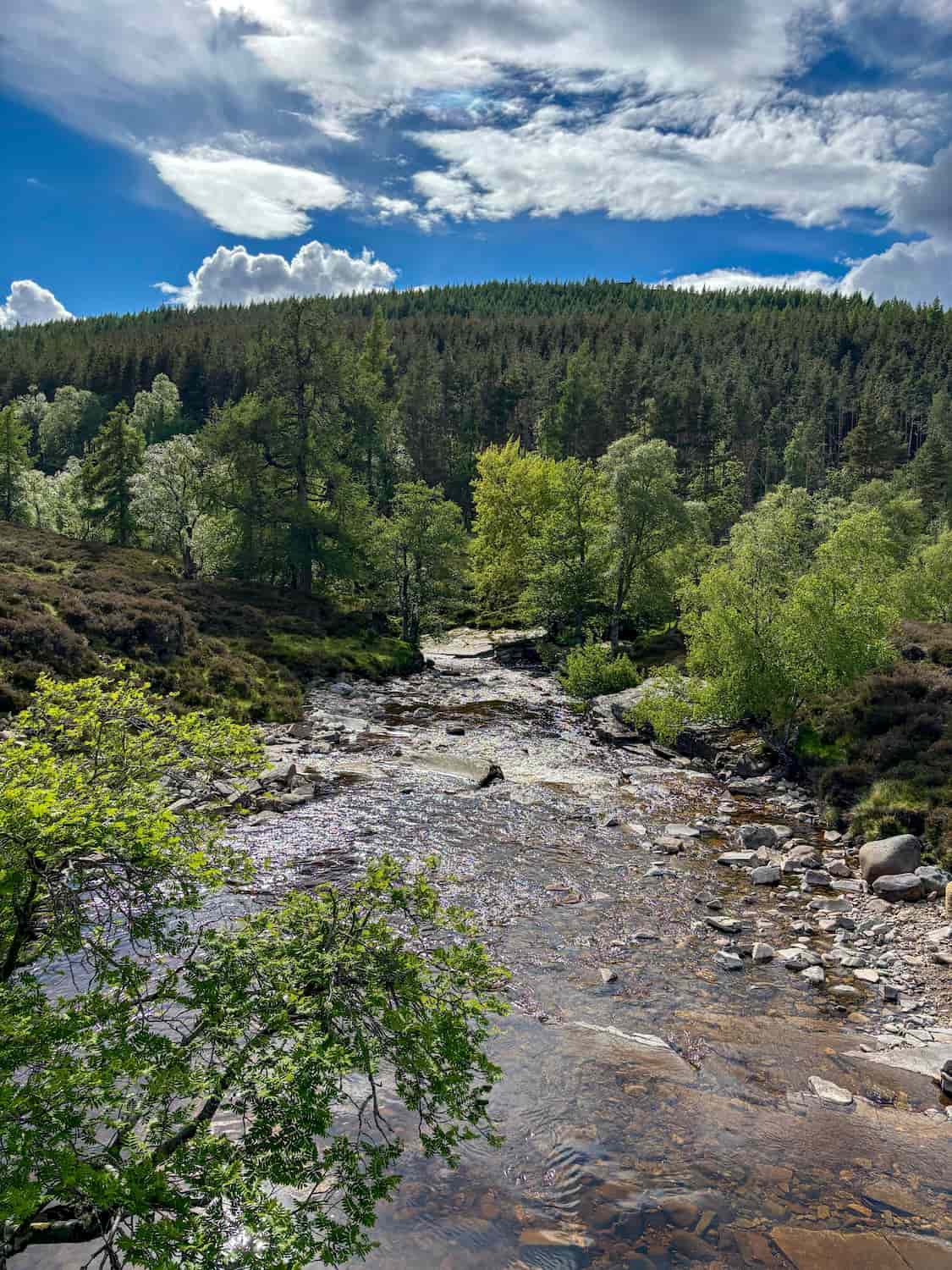 Cairngorms National Park, Scotland Cairngorms National Park, Scotland