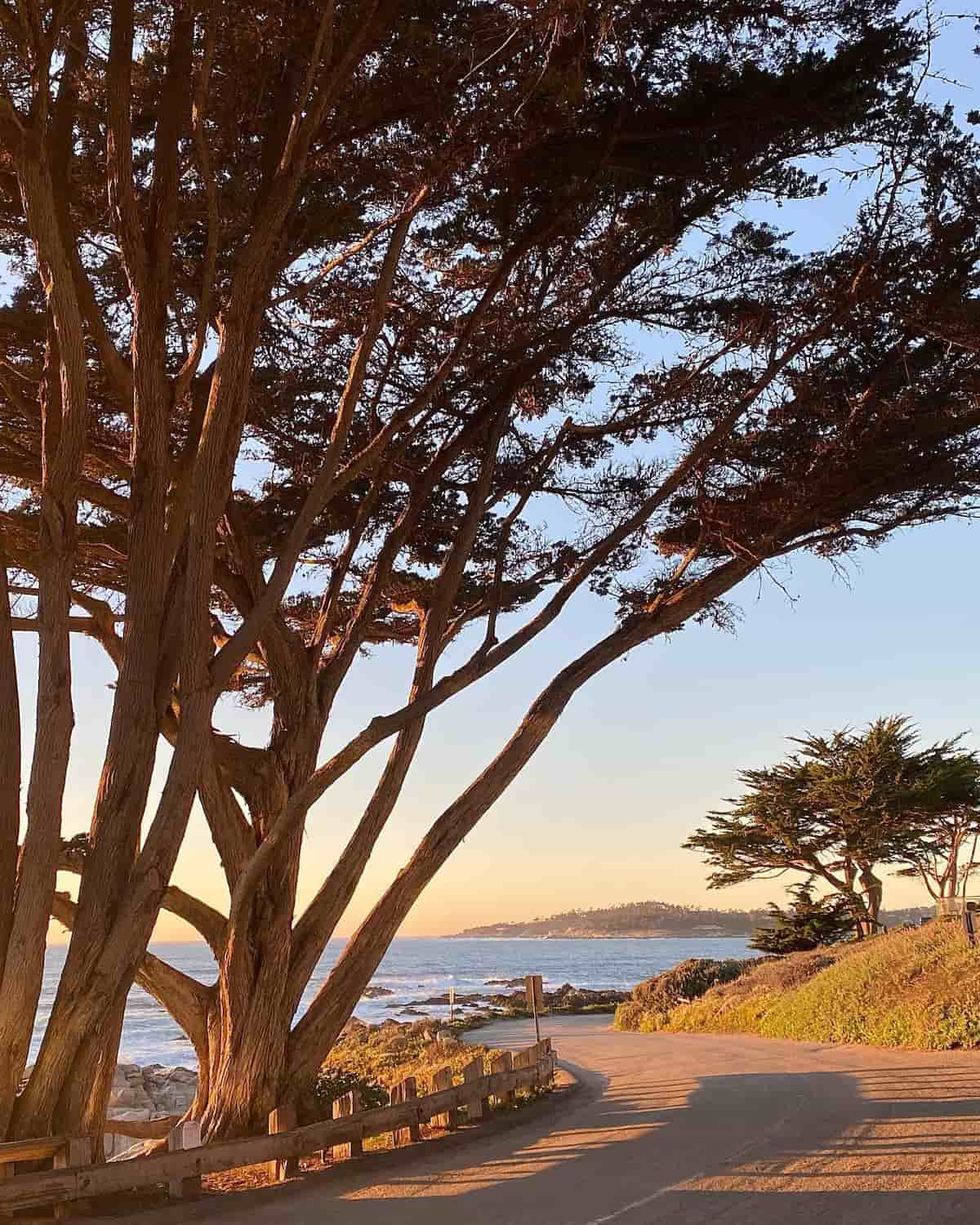 Carmel Point Carmel Point