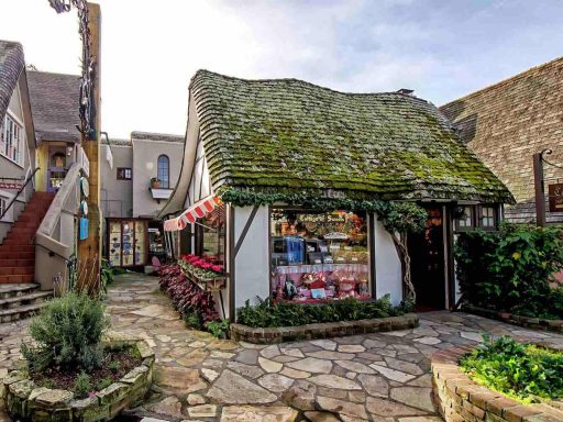 Carmel USA