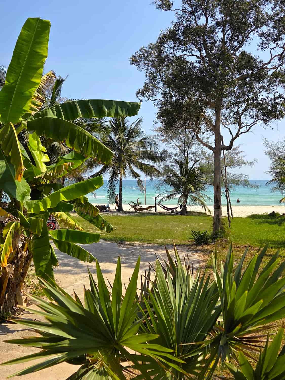 Coconut Beach, Cambodia Coconut Beach, Cambodia