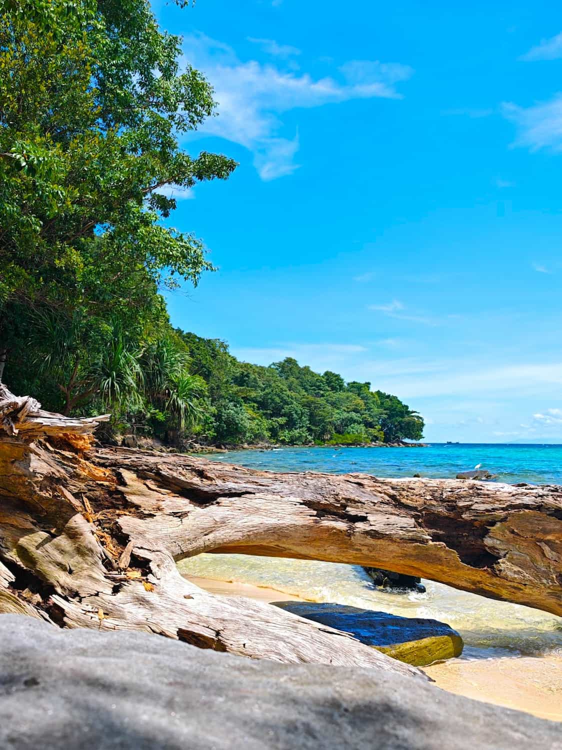 Coconut Beach, Cambodia Coconut Beach, Cambodia