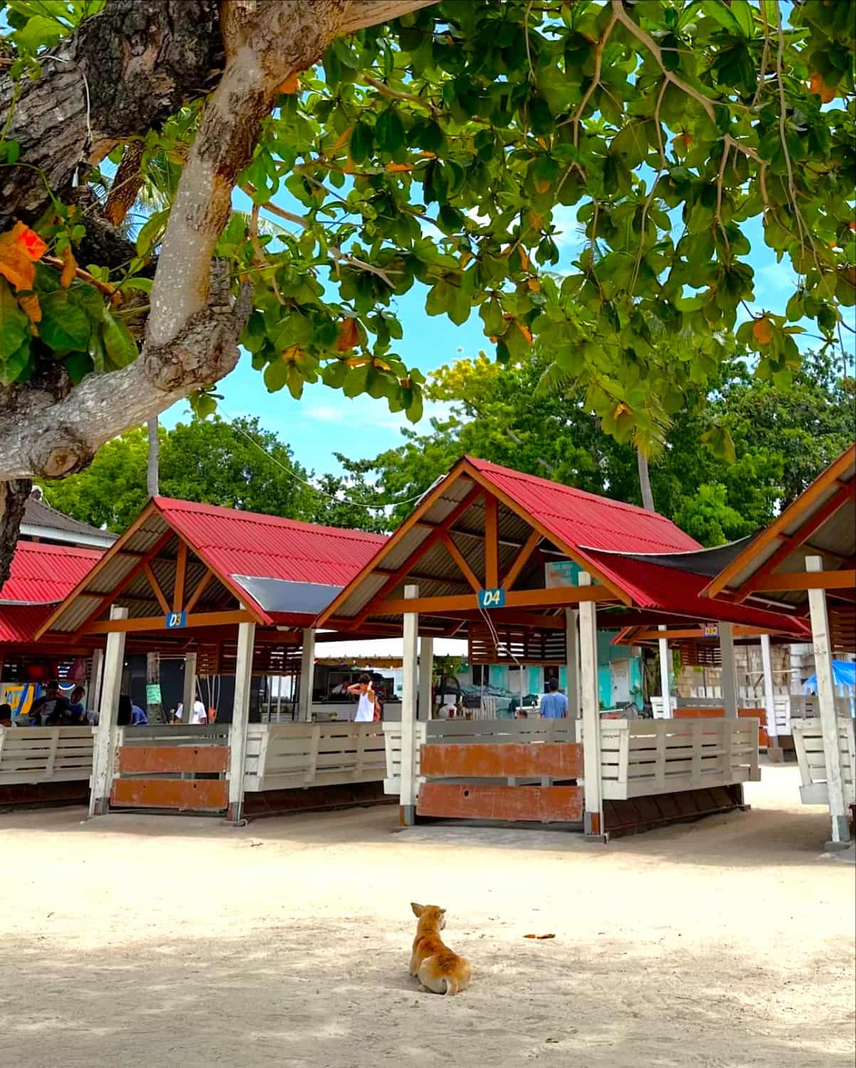 Danao Beach, Panglao Danao Beach, Panglao