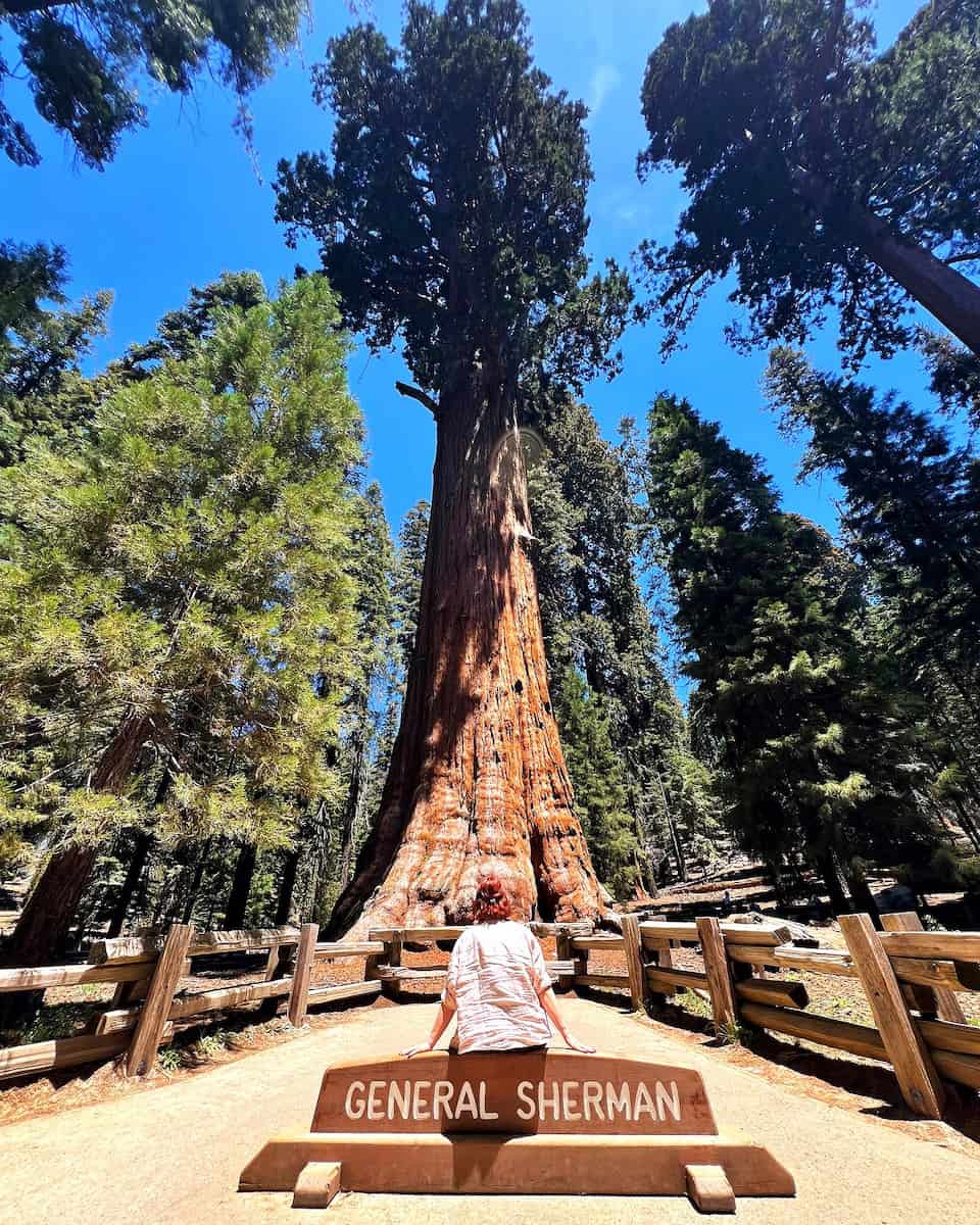 Giant Forest & Lodgepole, Sequoia National Park Giant Forest & Lodgepole, Sequoia National Park