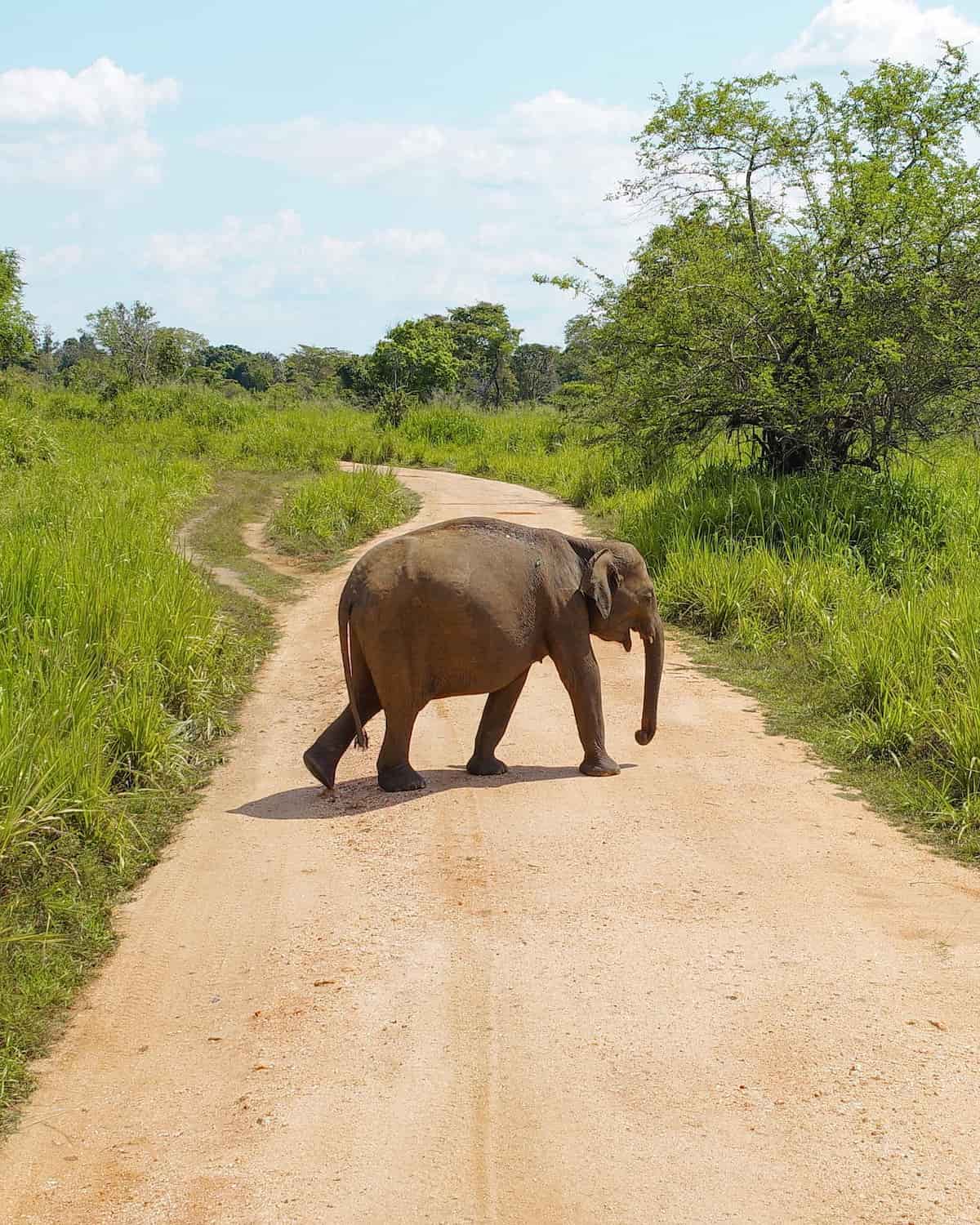 Habarana, Sigiriya Habarana, Sigiriya