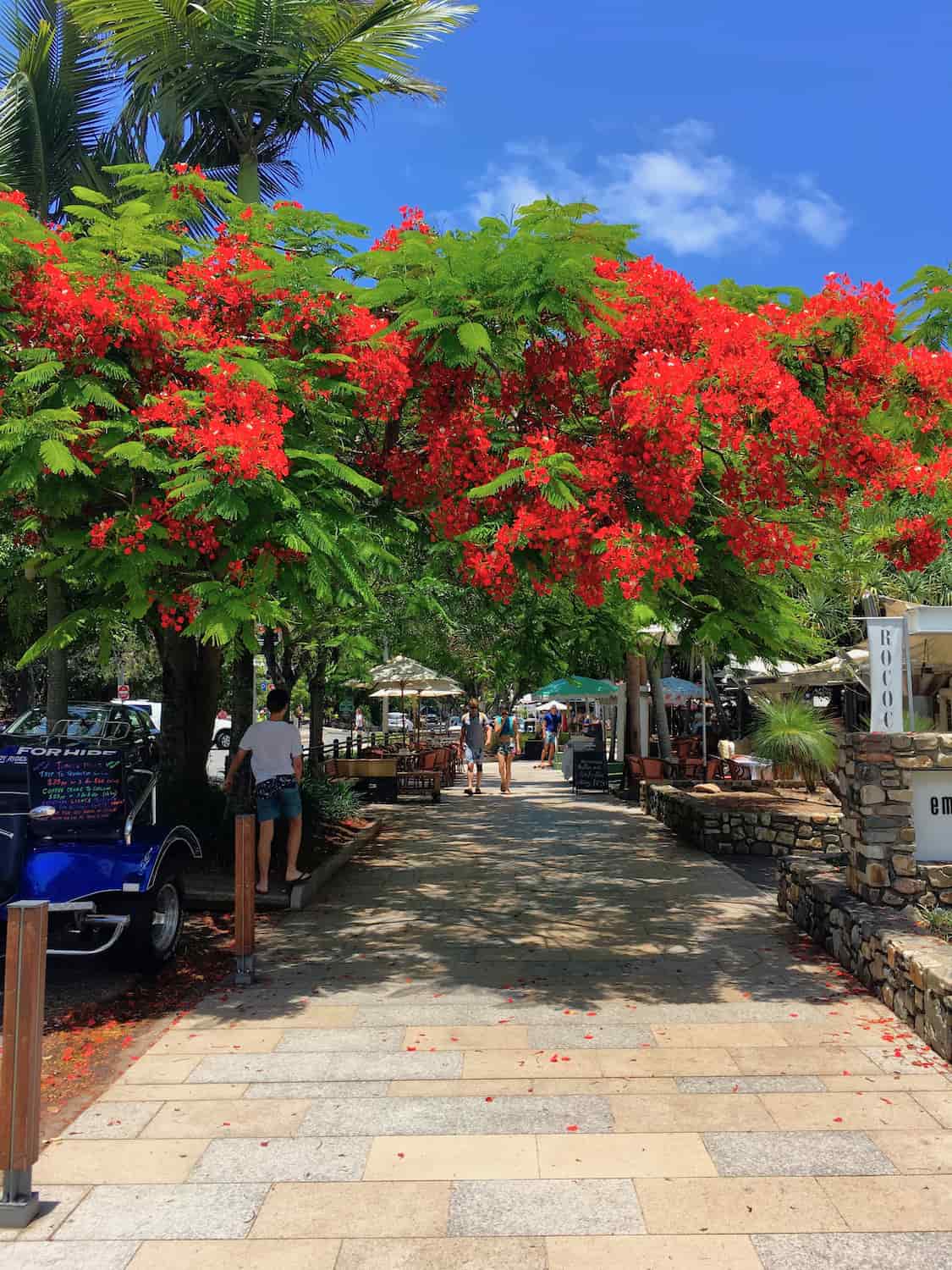 Hastings Street & Main Beach, Noosa Hastings Street & Main Beach, Noosa