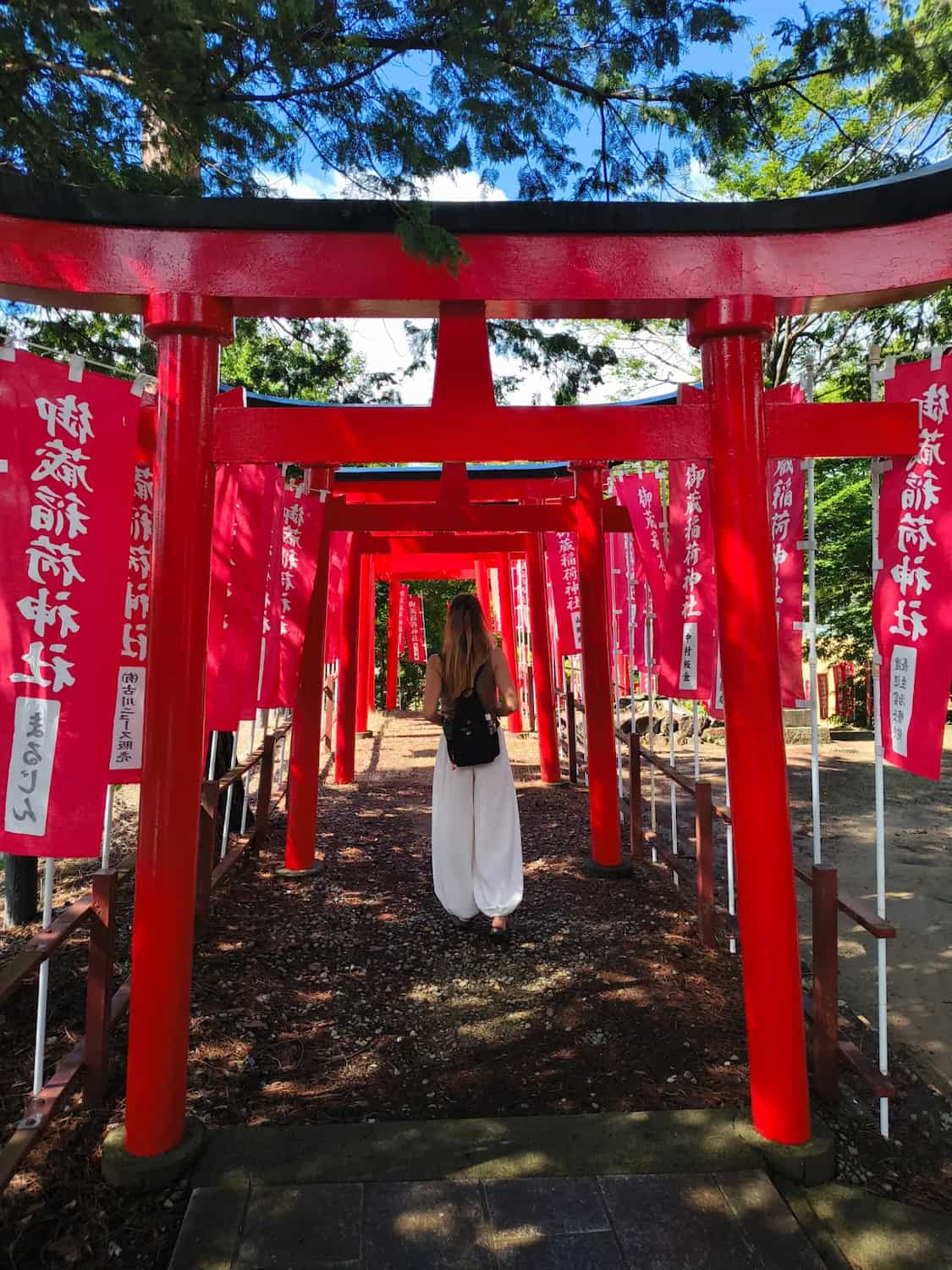 Hida-Furukawa, Takayama Hida-Furukawa, Takayama
