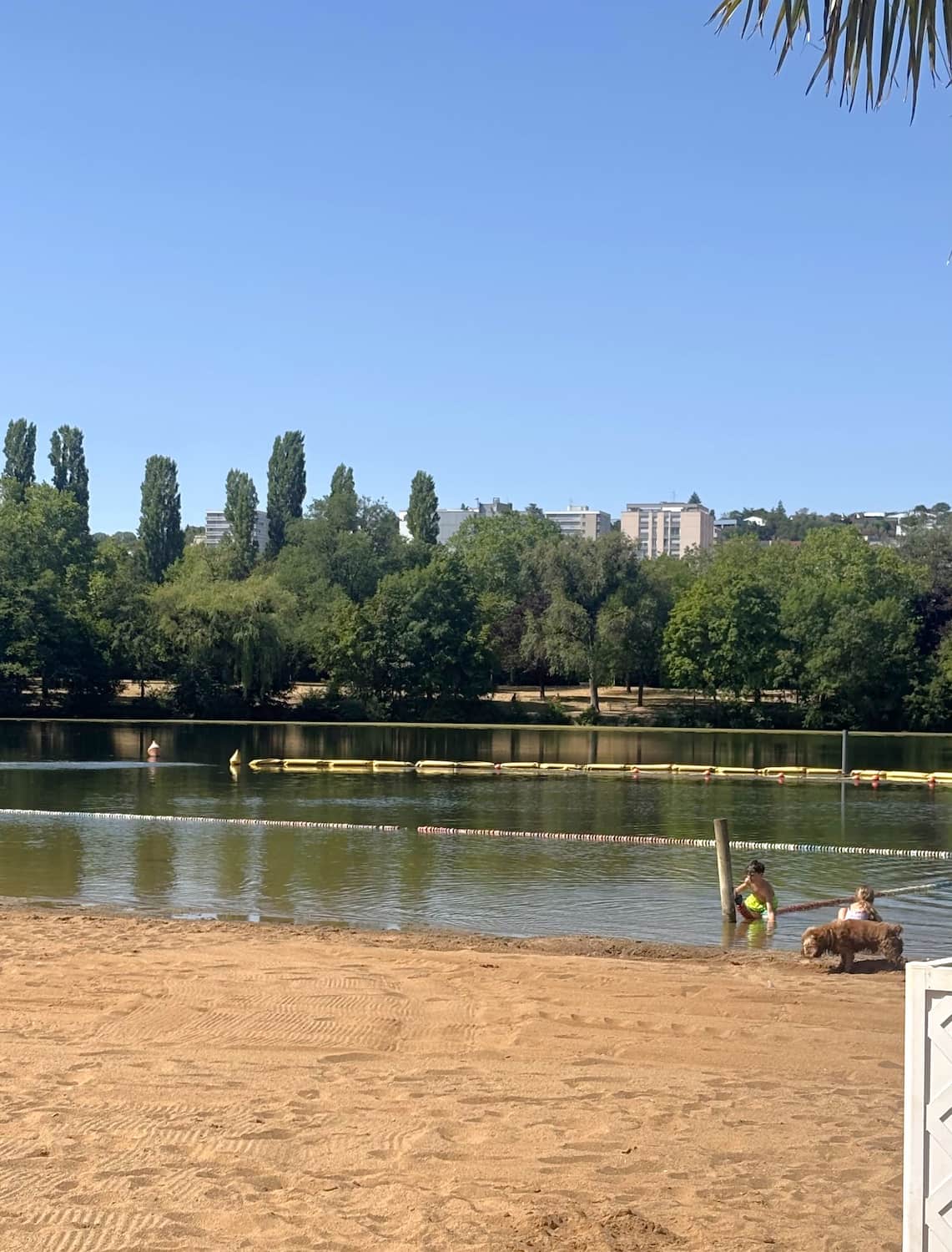 Lac Kir, Dijon Lac Kir, Dijon