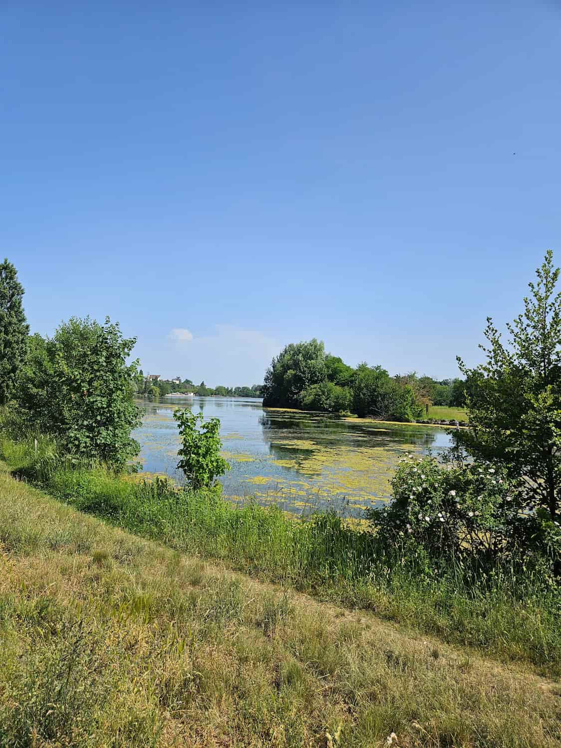 Lac Kir, Dijon Lac Kir, Dijon