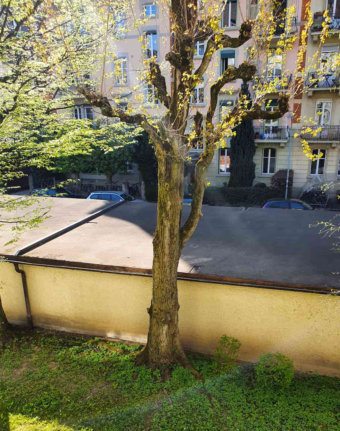 Länggass, Bern Länggass, Bern