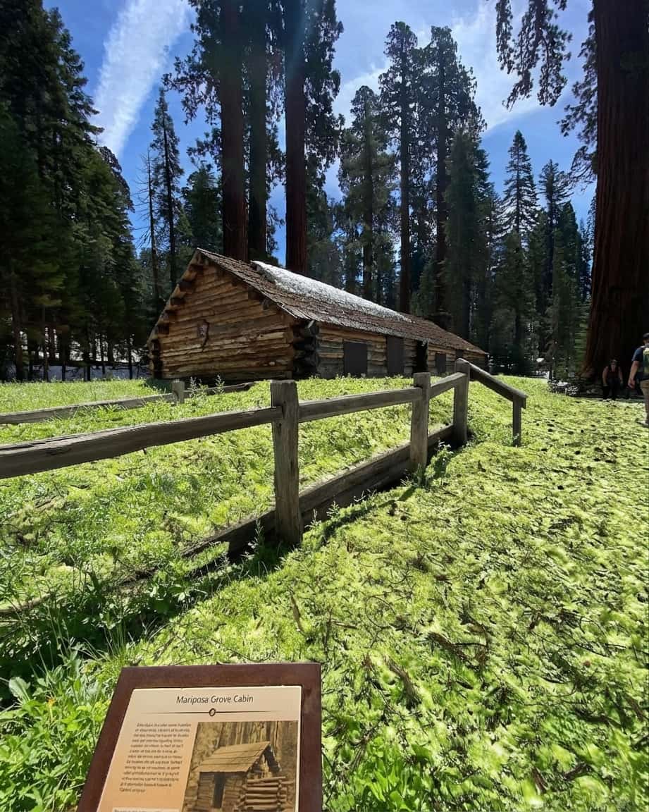 Mariposa, Yosemite Mariposa, Yosemite