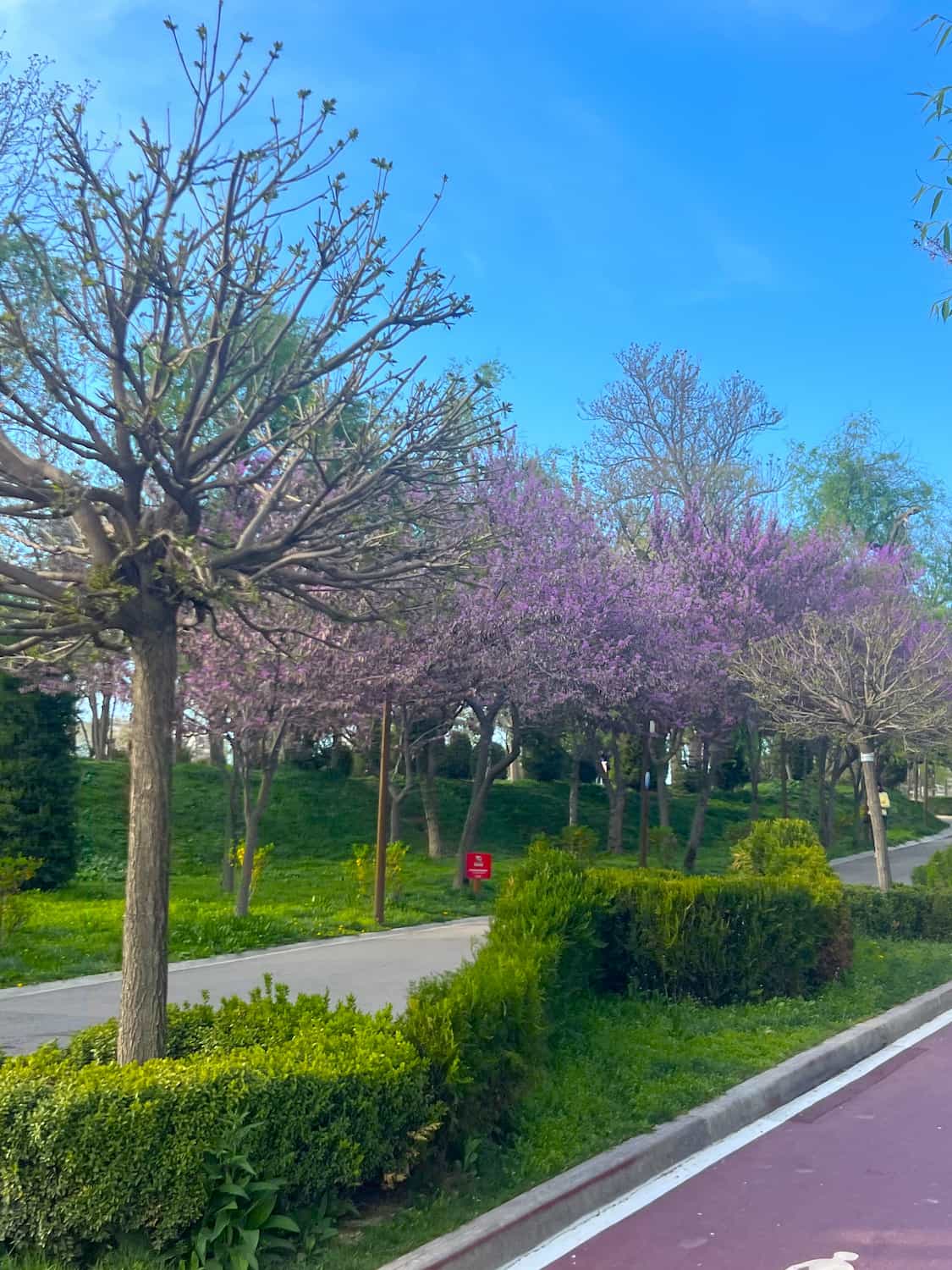 Mirabad, Tashkent