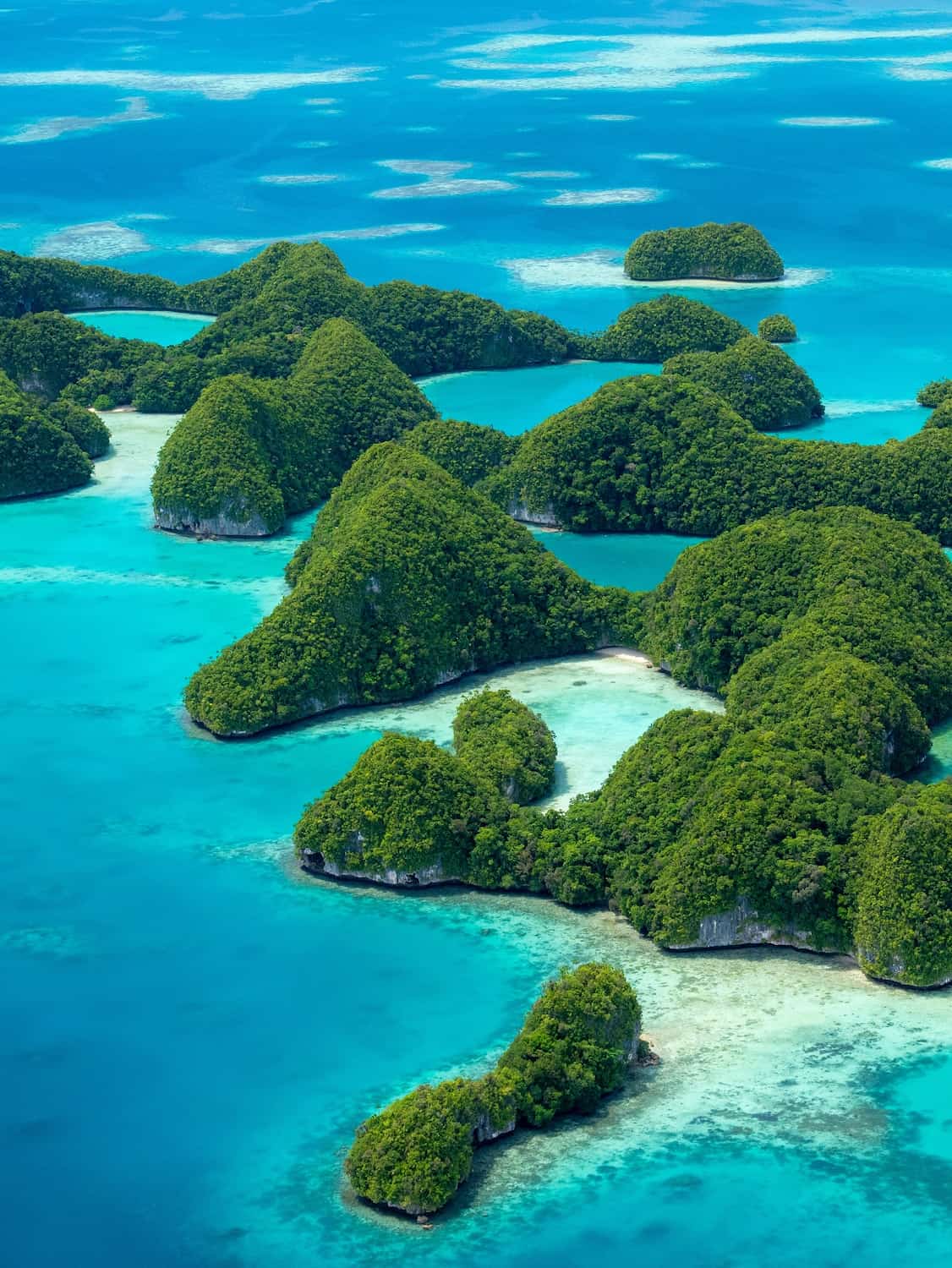 Palau Palau