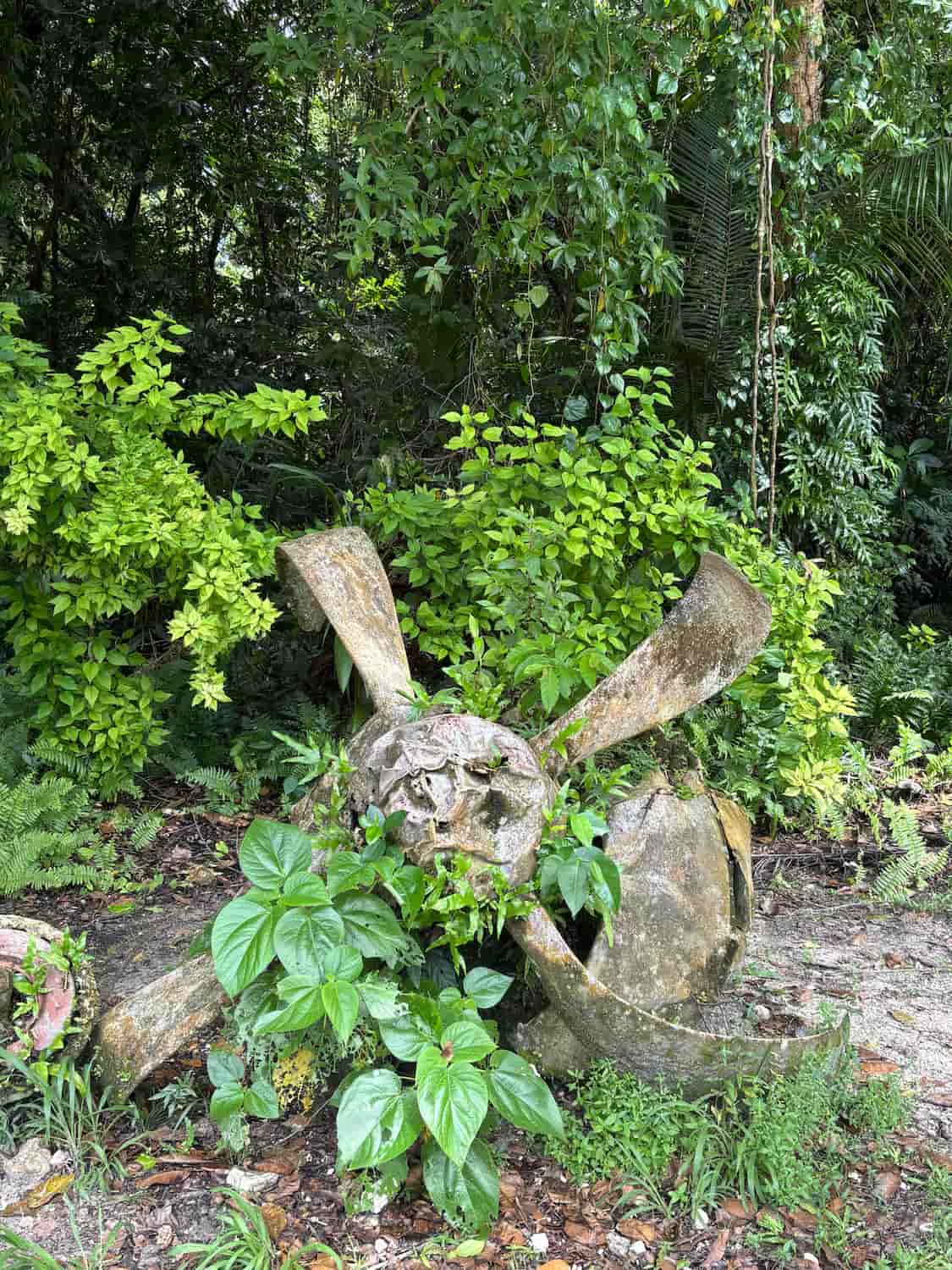 Peleliu, Palau Peleliu, Palau
