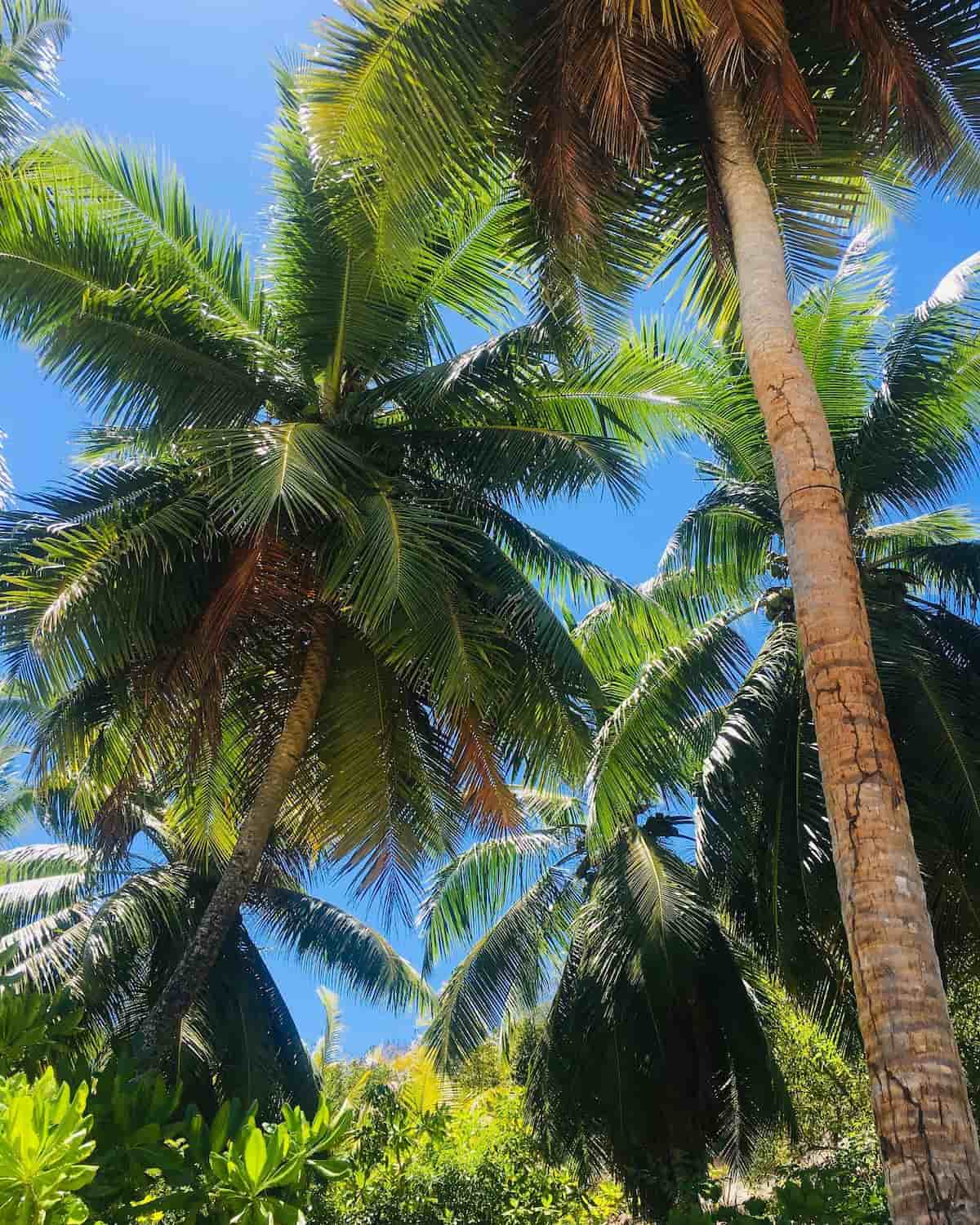 Port Glaud, Mahe Port Glaud, Mahe